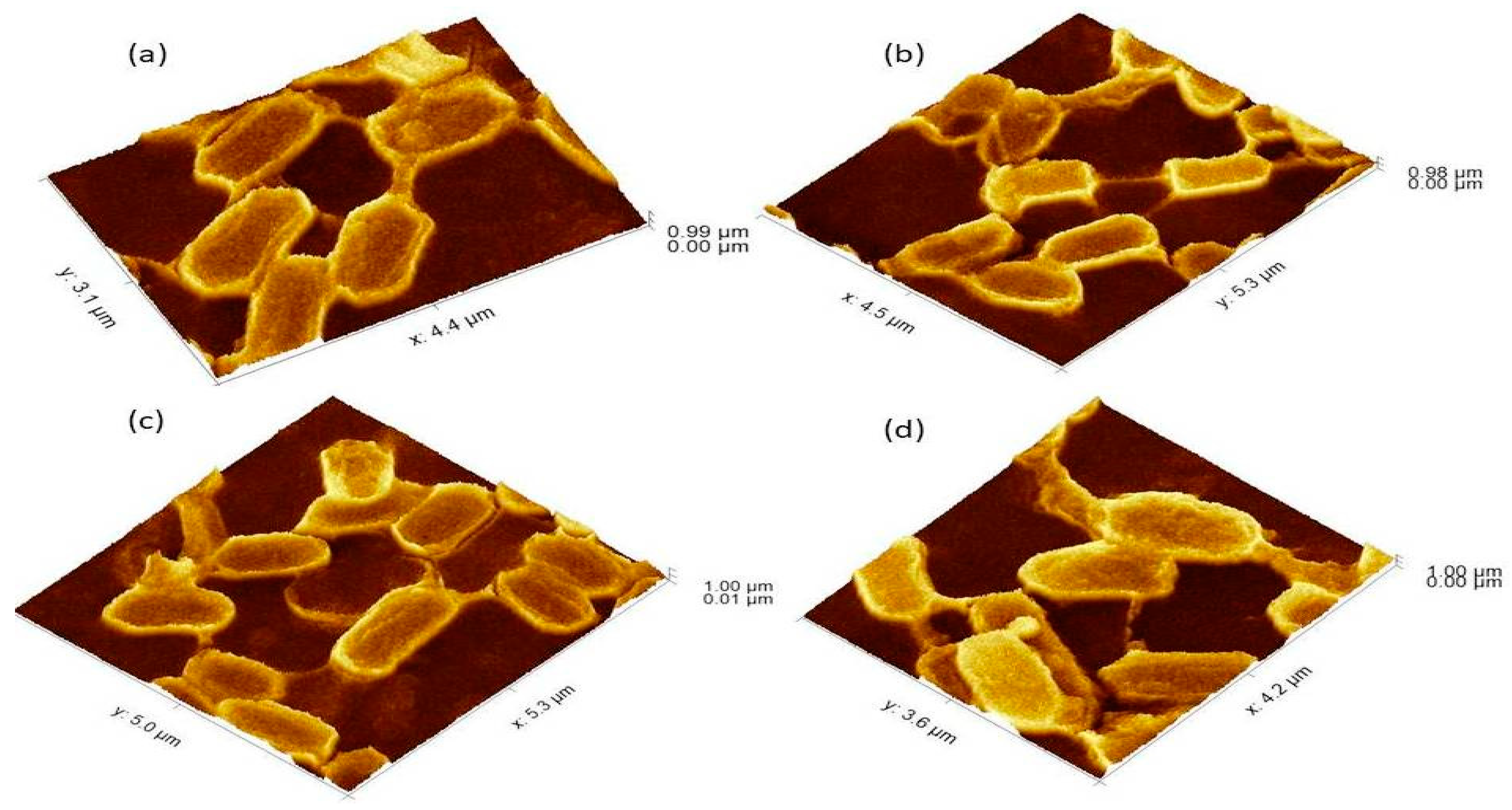 Cells 11 03374 g003 Cells 11 03374 g003