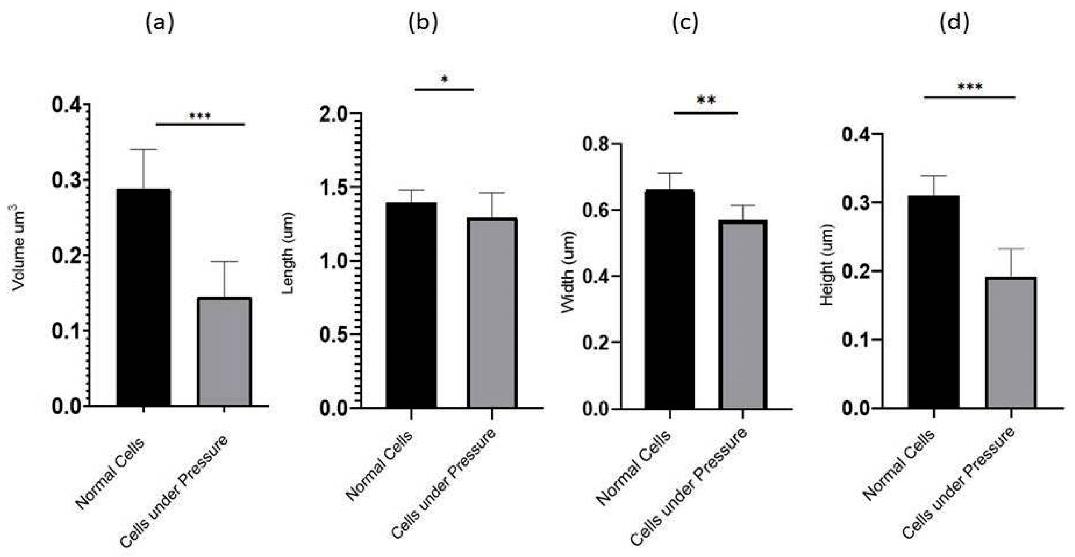 Cells 11 03374 g005 Cells 11 03374 g005