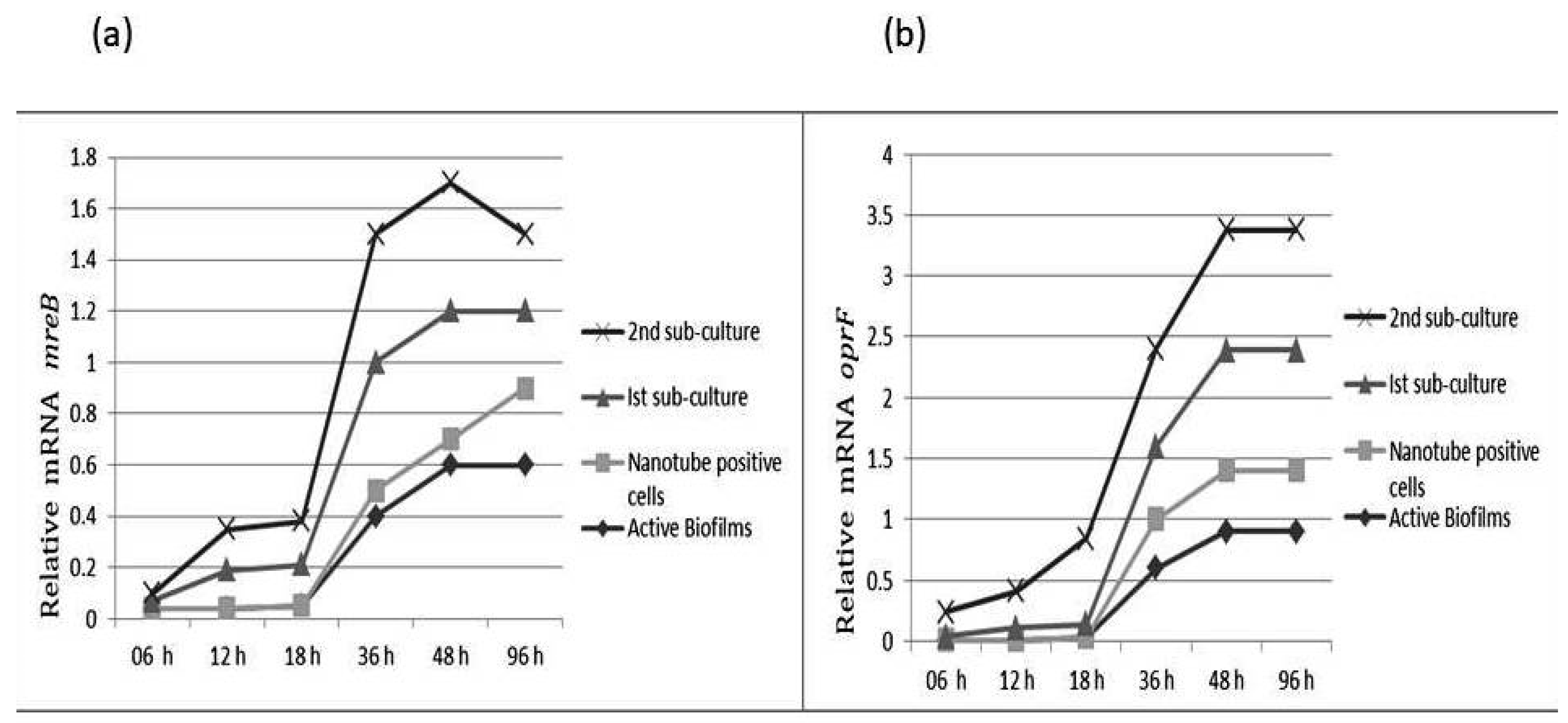 Cells 11 03374 g006 Cells 11 03374 g006