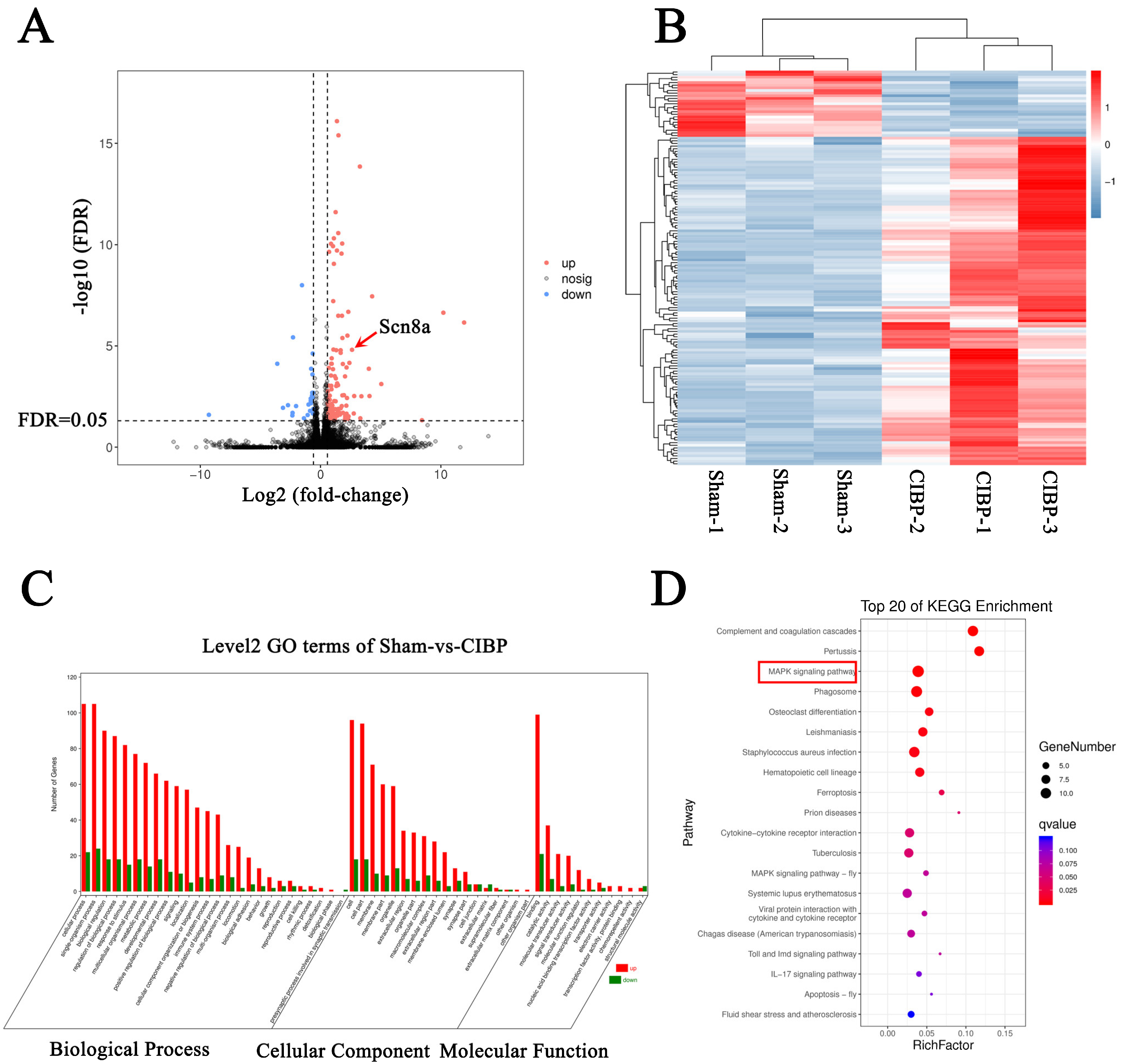 Cells 11 03375 g002 Cells 11 03375 g002