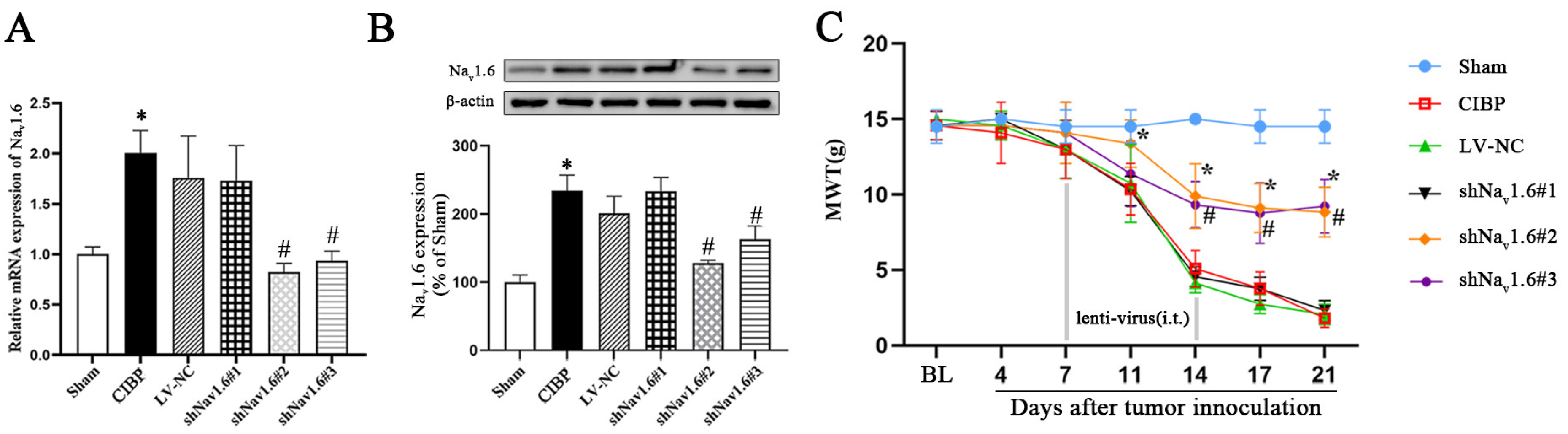 Cells 11 03375 g004 Cells 11 03375 g004