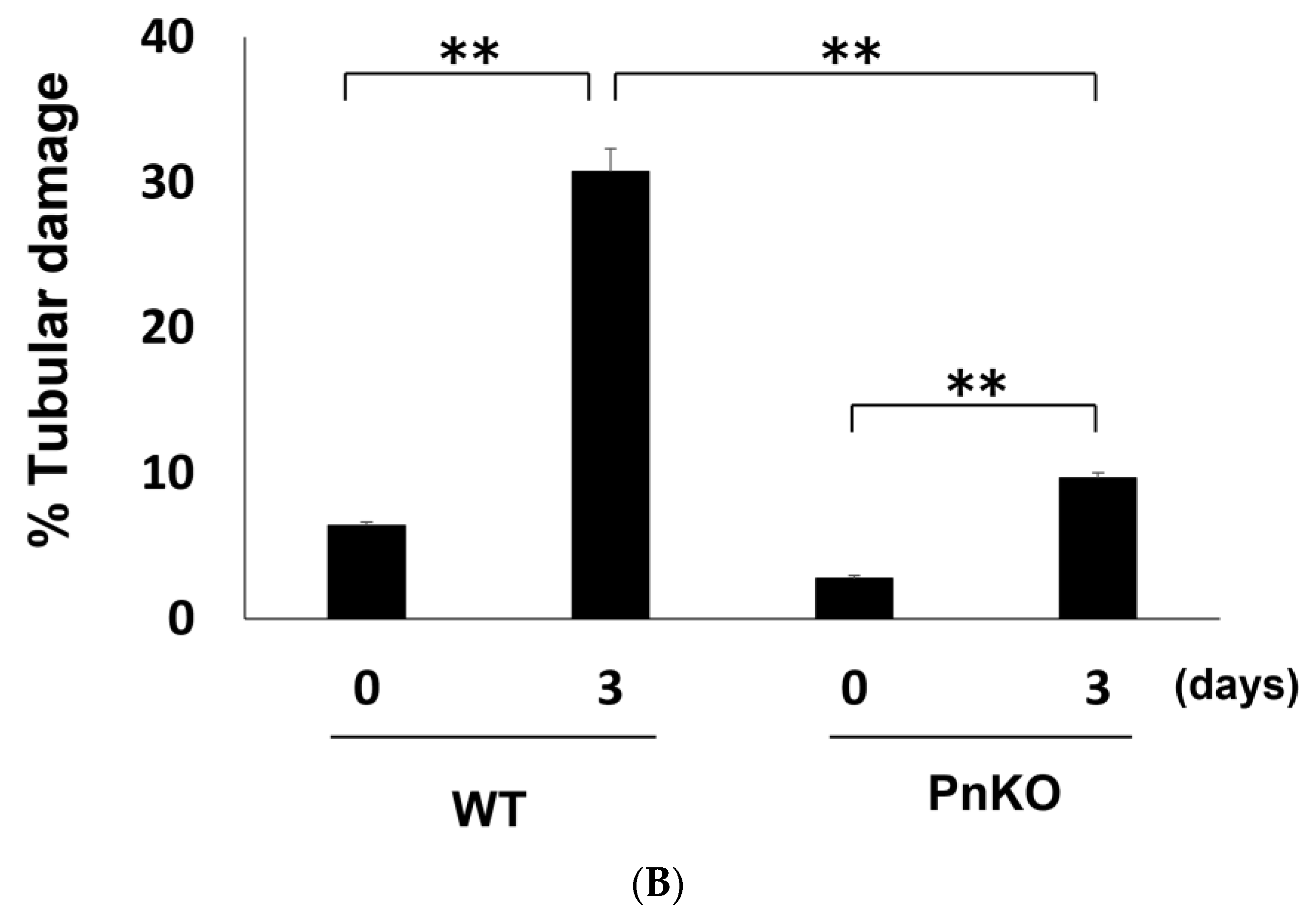 Cells 11 03388 g004b