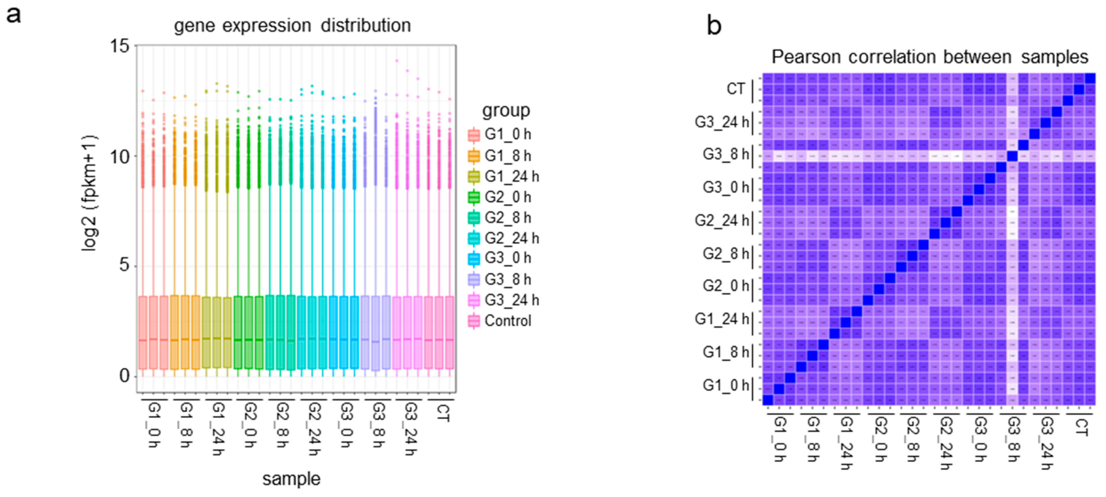 Cells 11 03396 g003a