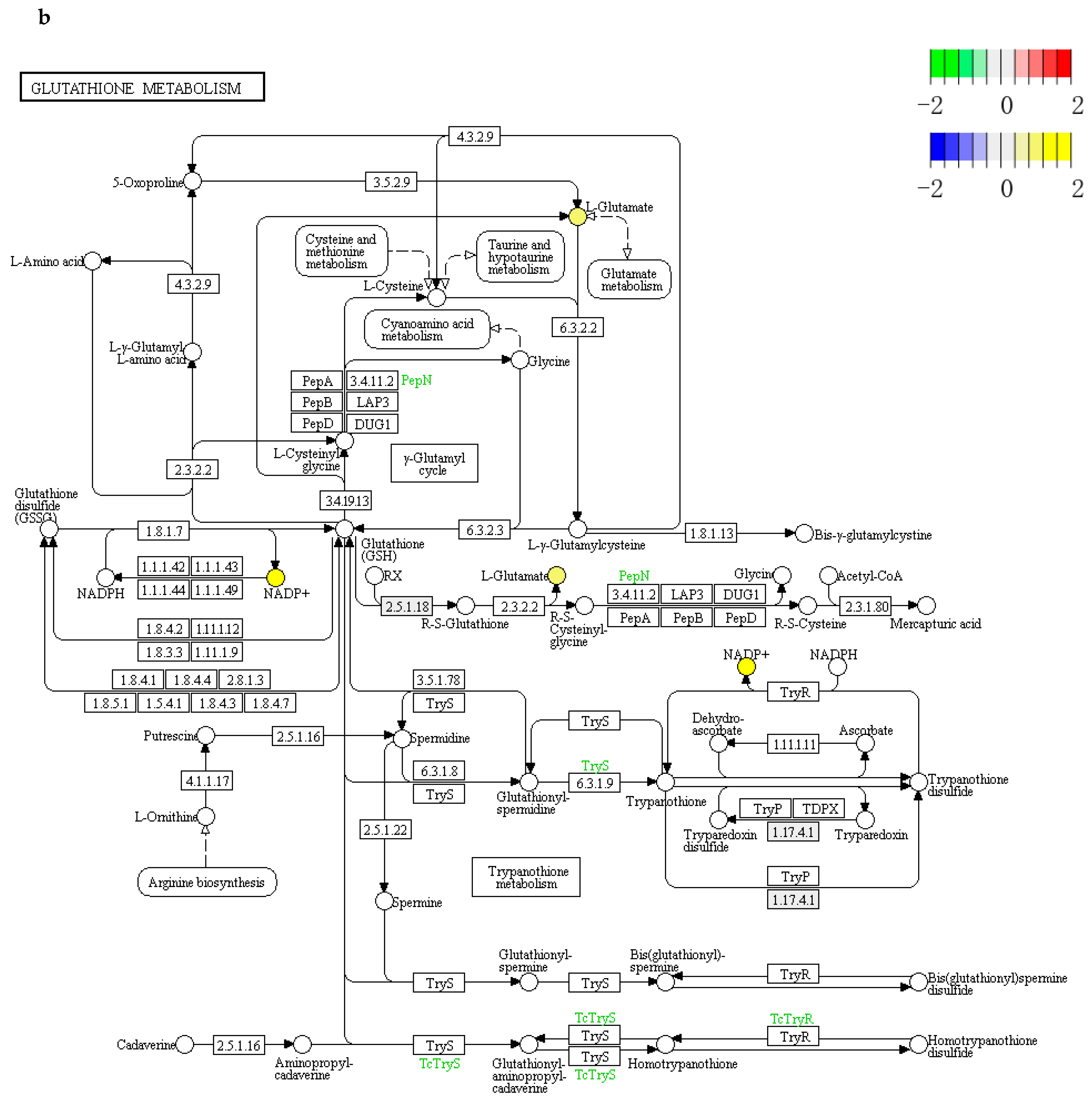 Cells 11 03396 g006b