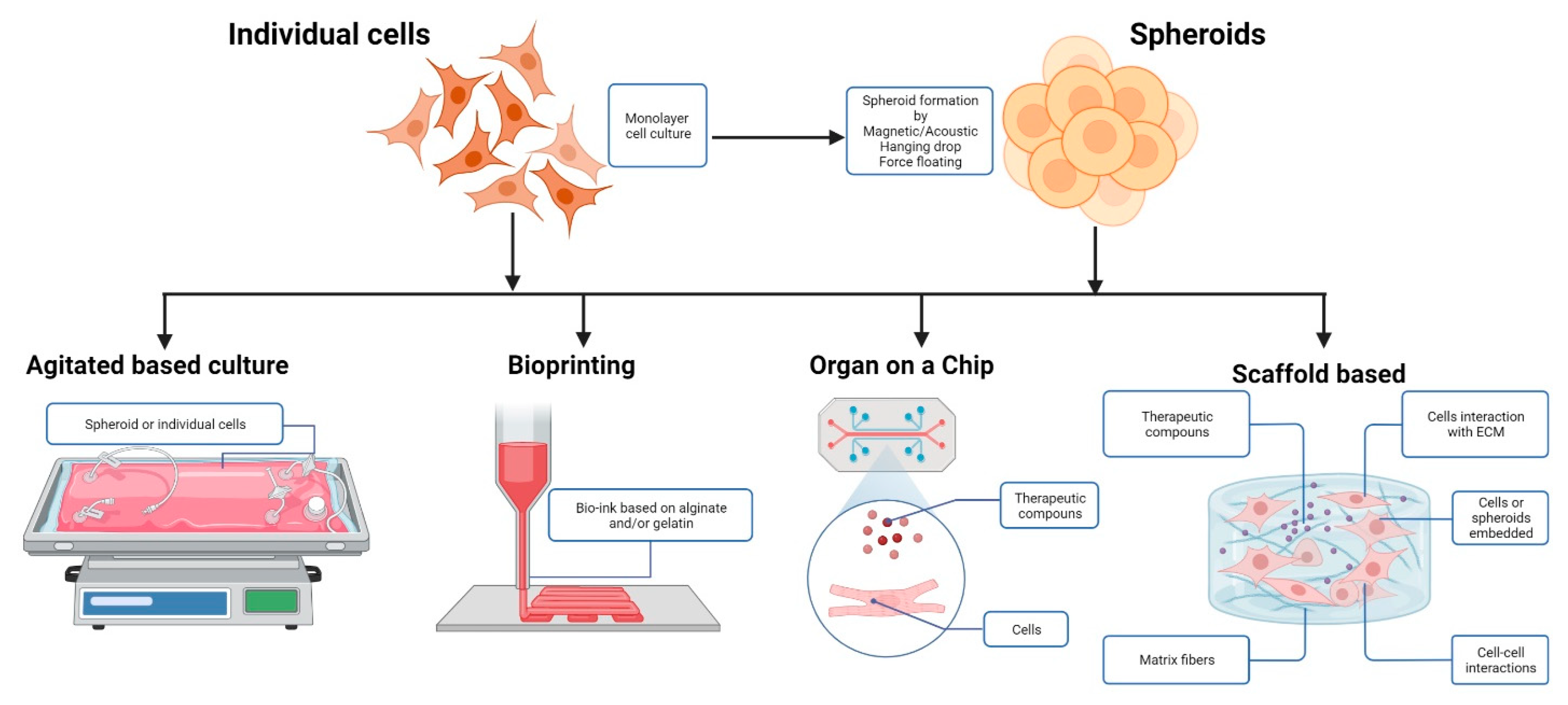 Cells 11 03410 g002 Cells 11 03410 g002
