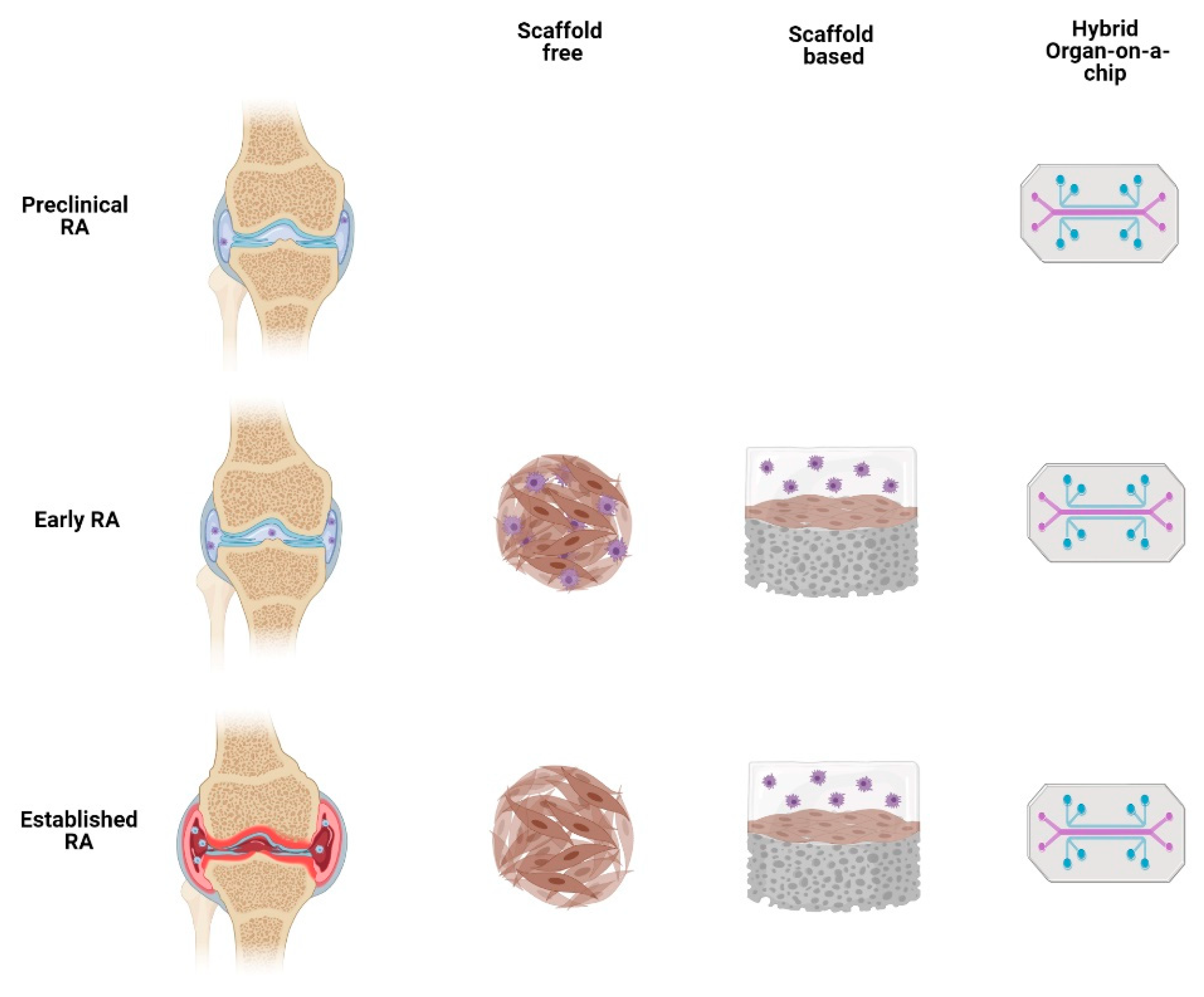 Cells 11 03410 g003 Cells 11 03410 g003