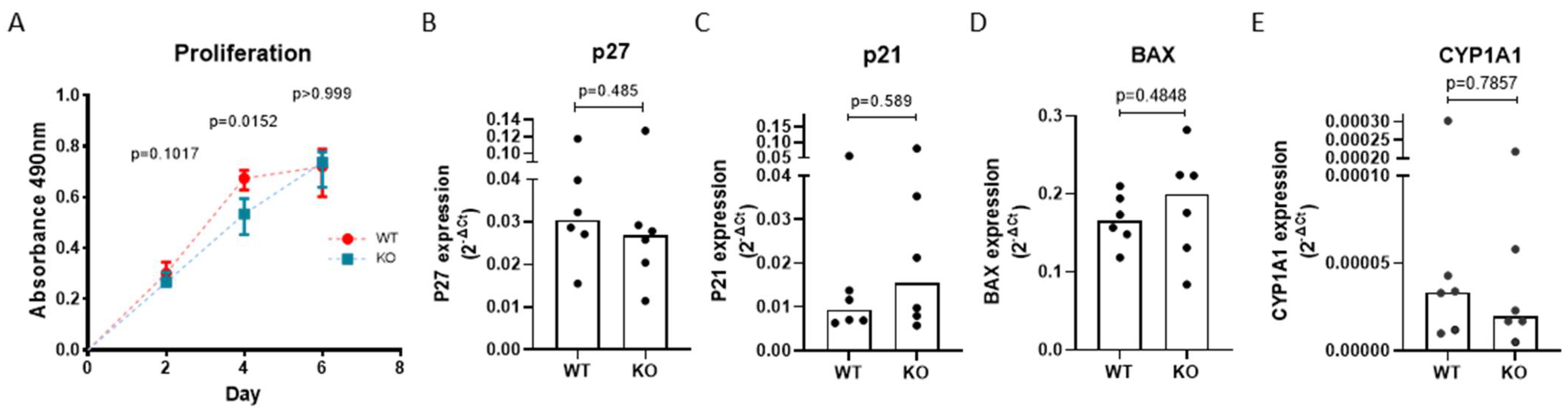 Cells 11 03423 g004 Cells 11 03423 g004