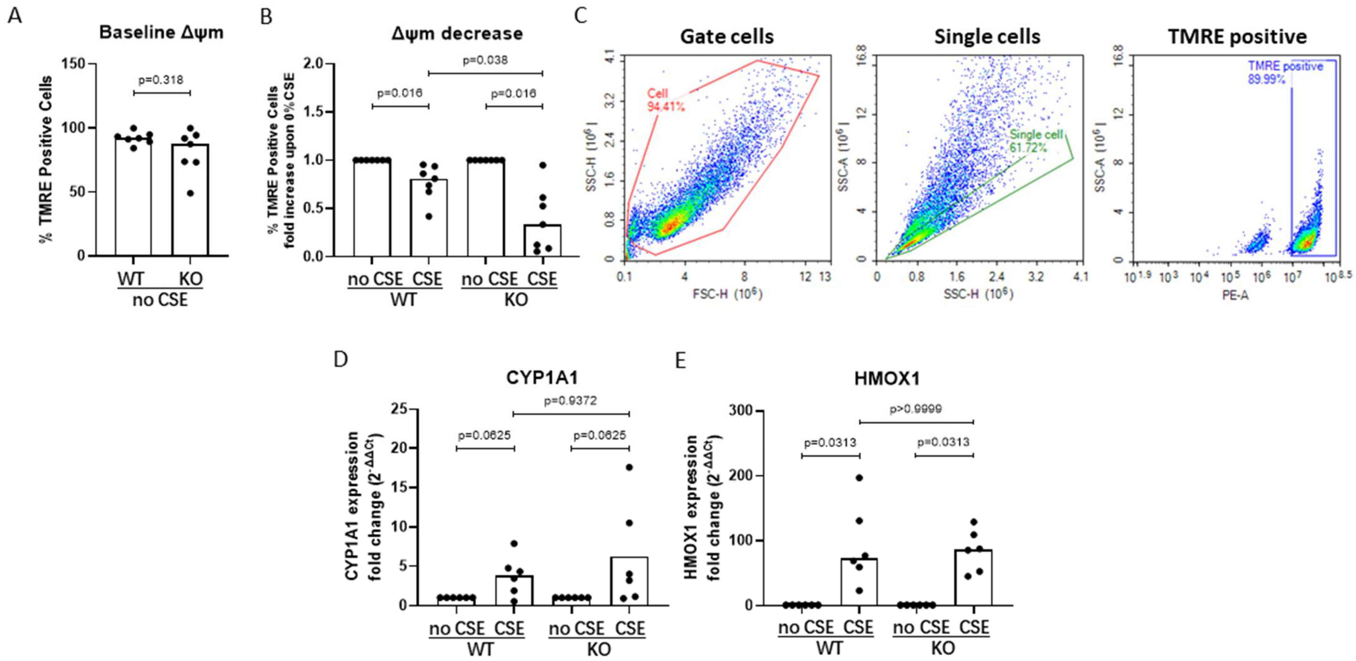 Cells 11 03423 g005 Cells 11 03423 g005