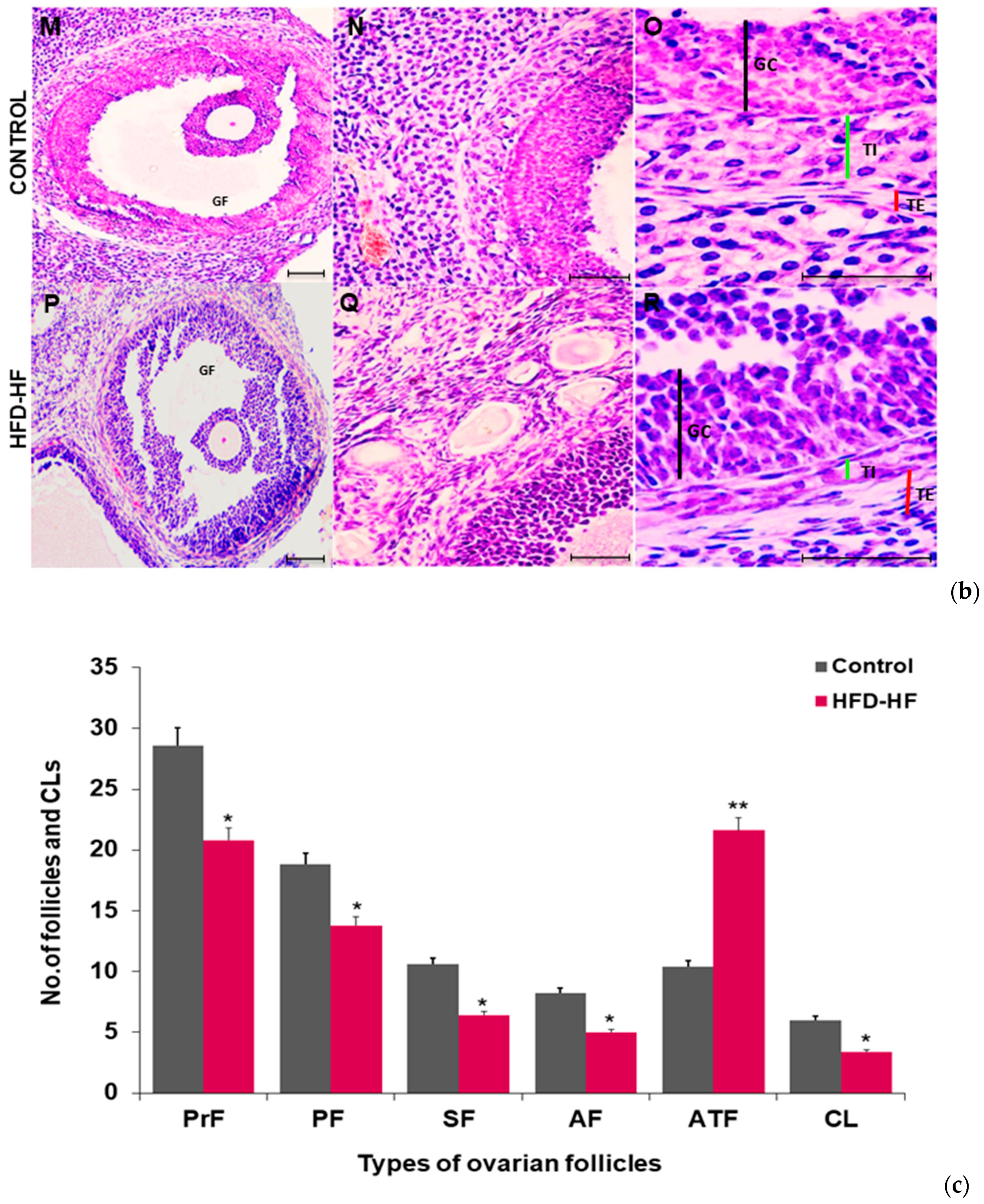 Cells 11 03447 g003b Cells 11 03447 g003b