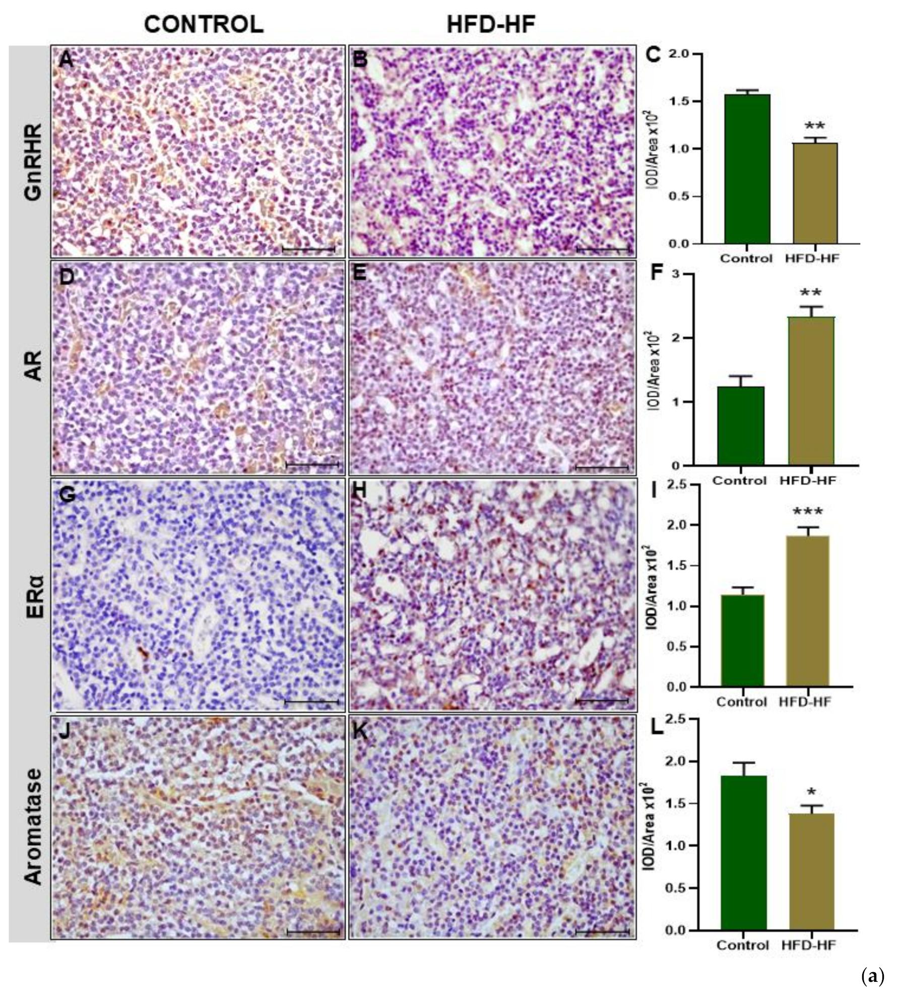 Cells 11 03447 g004a Cells 11 03447 g004a