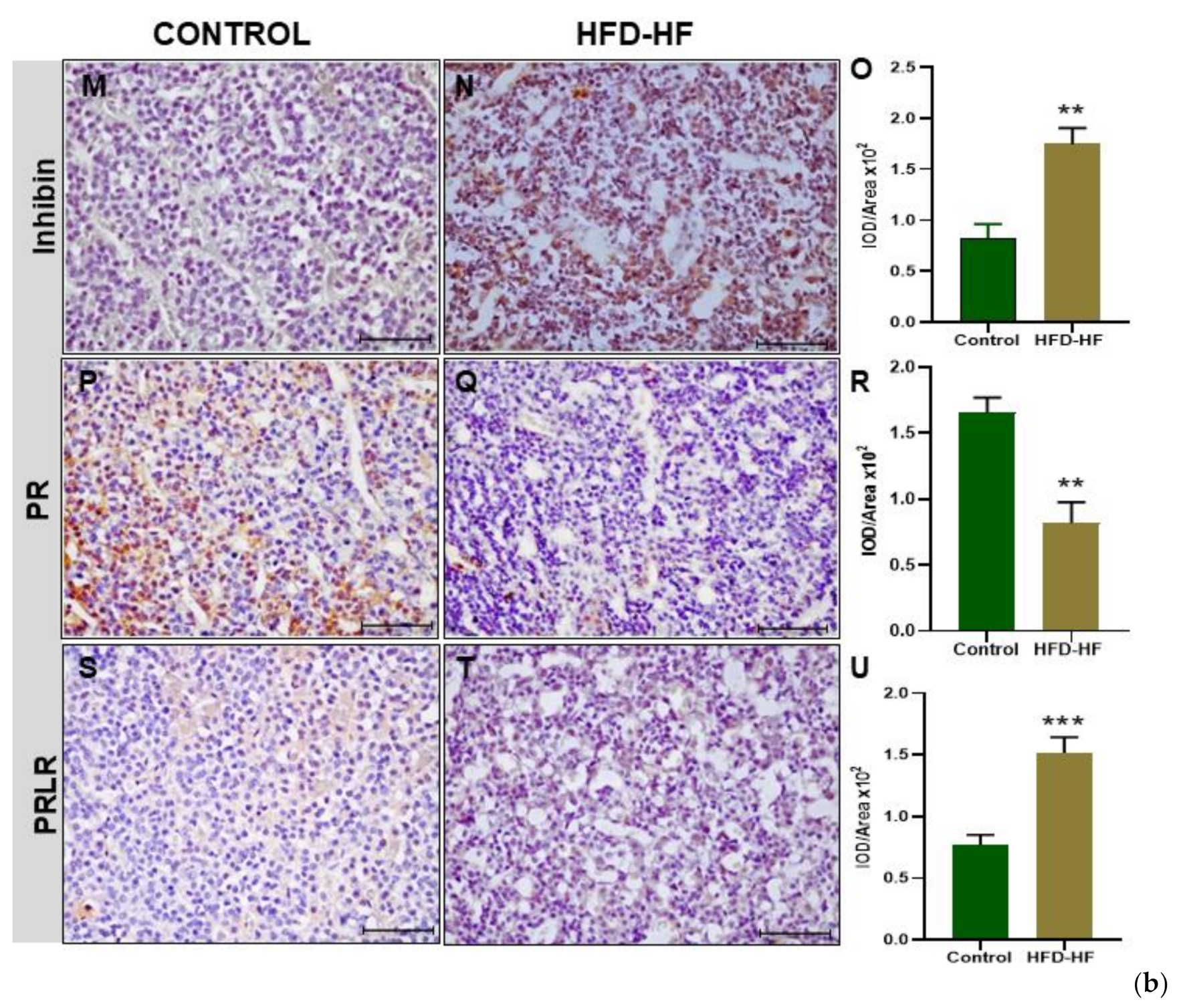 Cells 11 03447 g004b Cells 11 03447 g004b