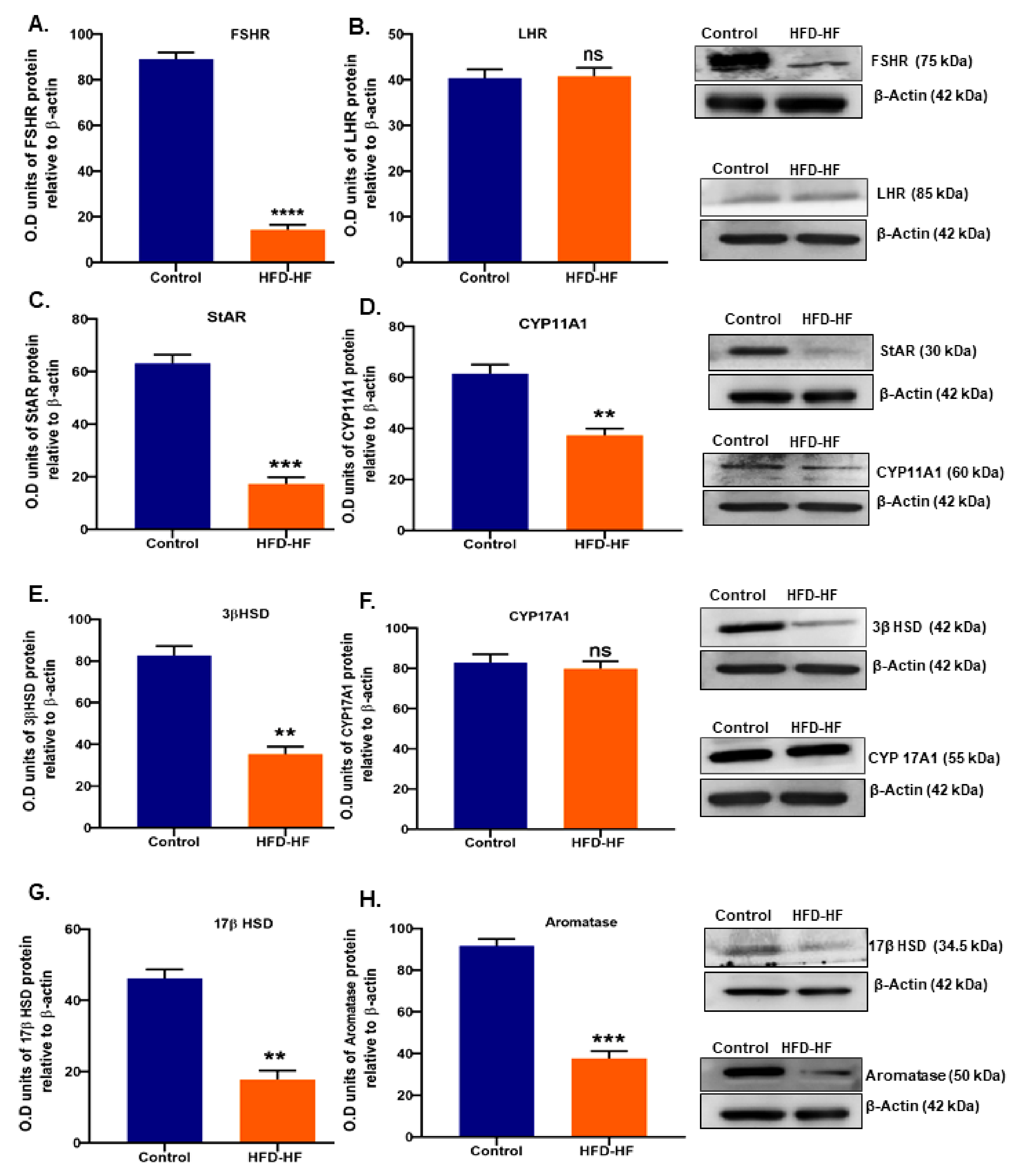 Cells 11 03447 g005 Cells 11 03447 g005