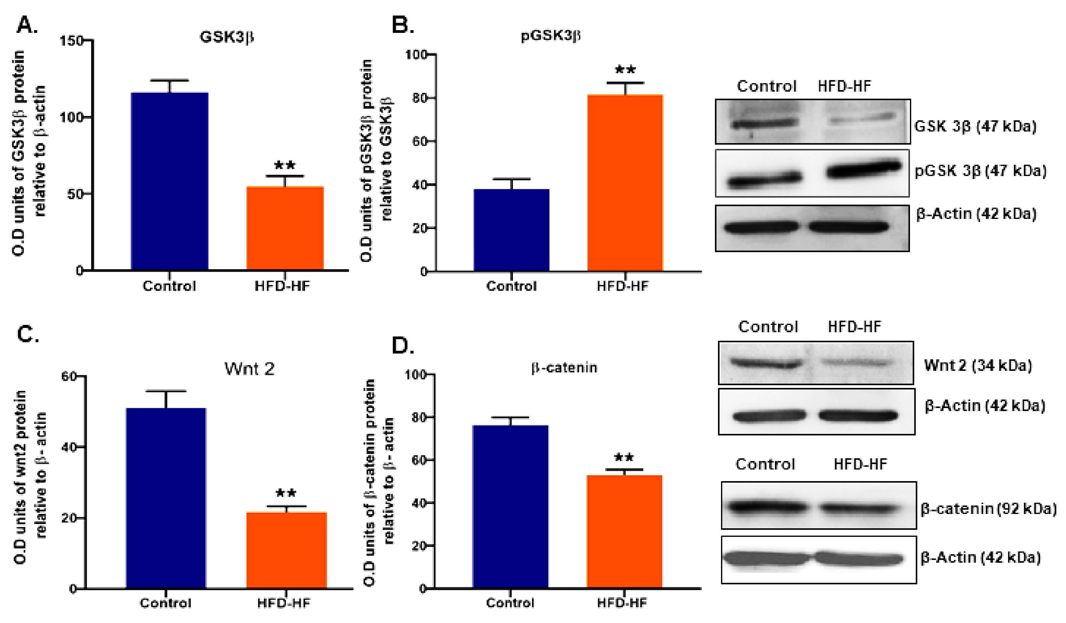 Cells 11 03447 g007 Cells 11 03447 g007