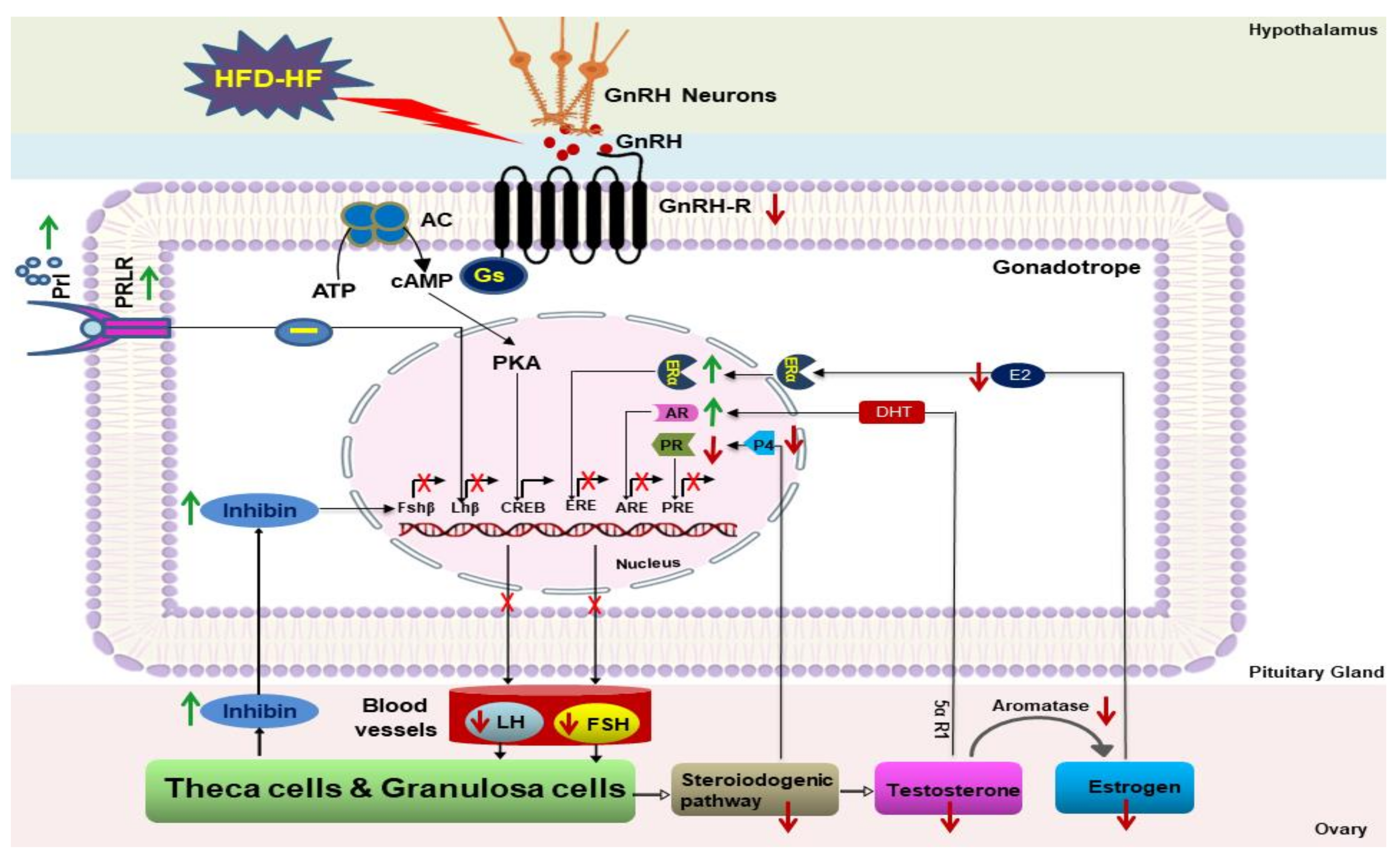Cells 11 03447 sch001 Cells 11 03447 sch001