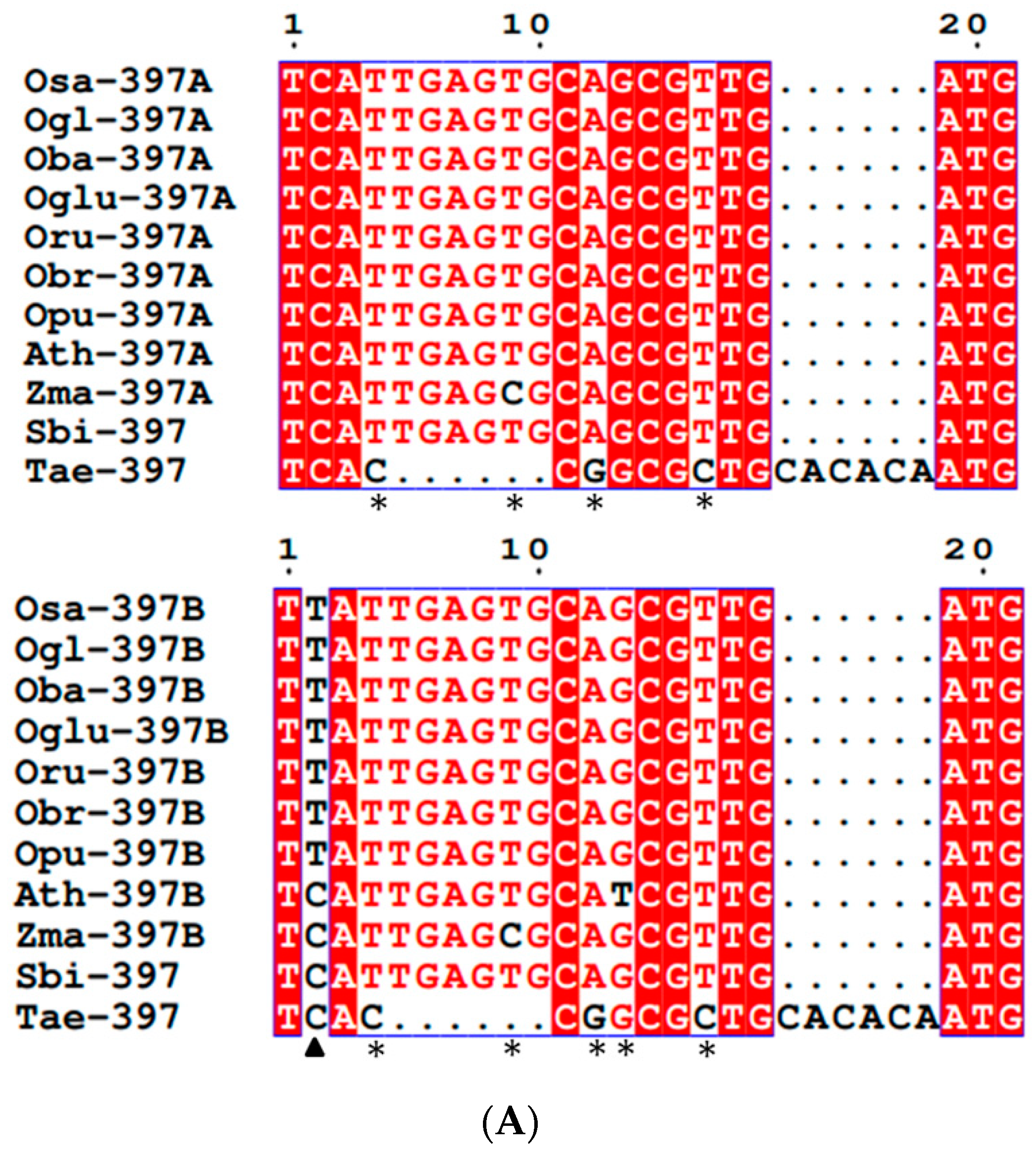 Cells 11 03461 g002a