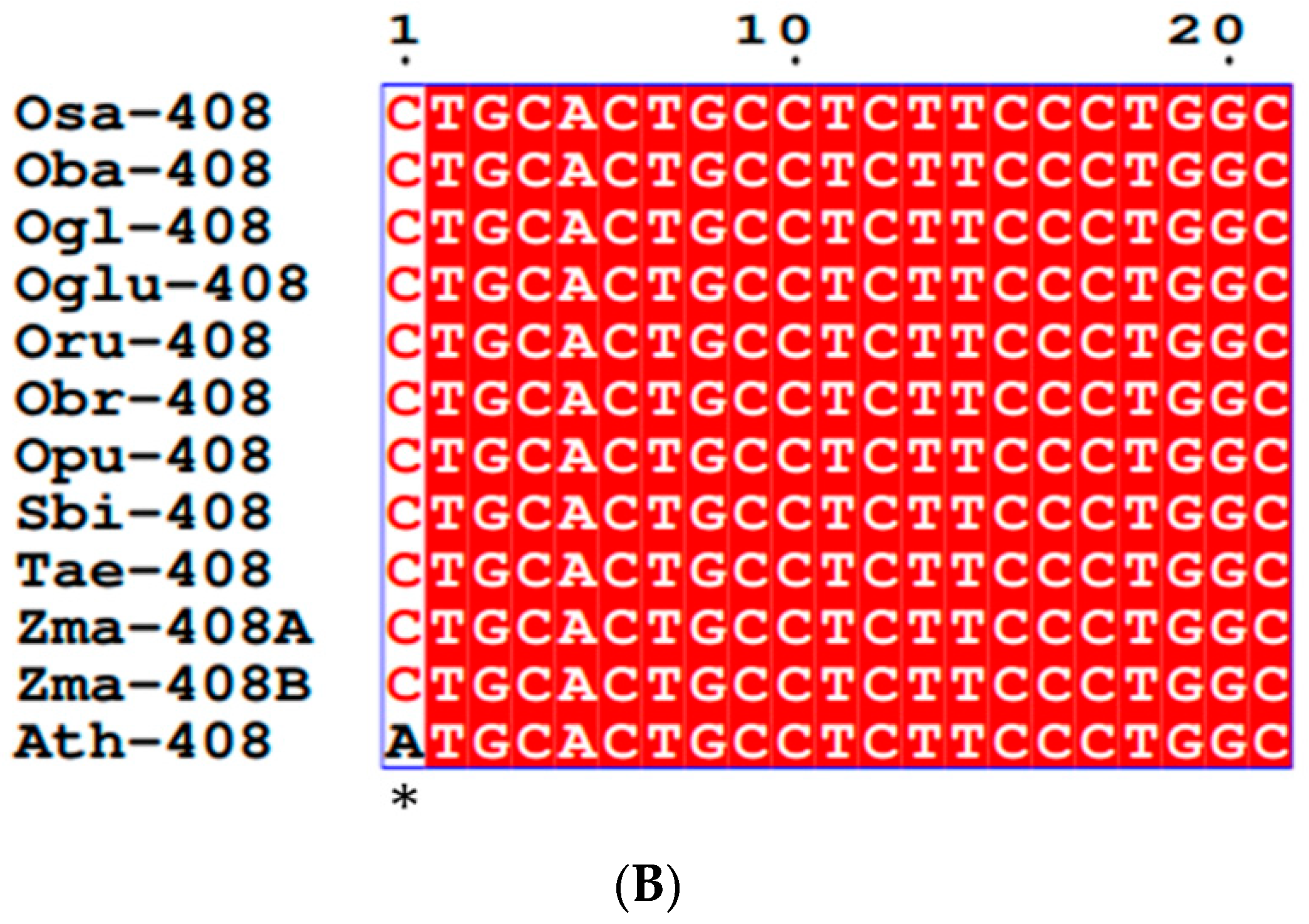 Cells 11 03461 g002b