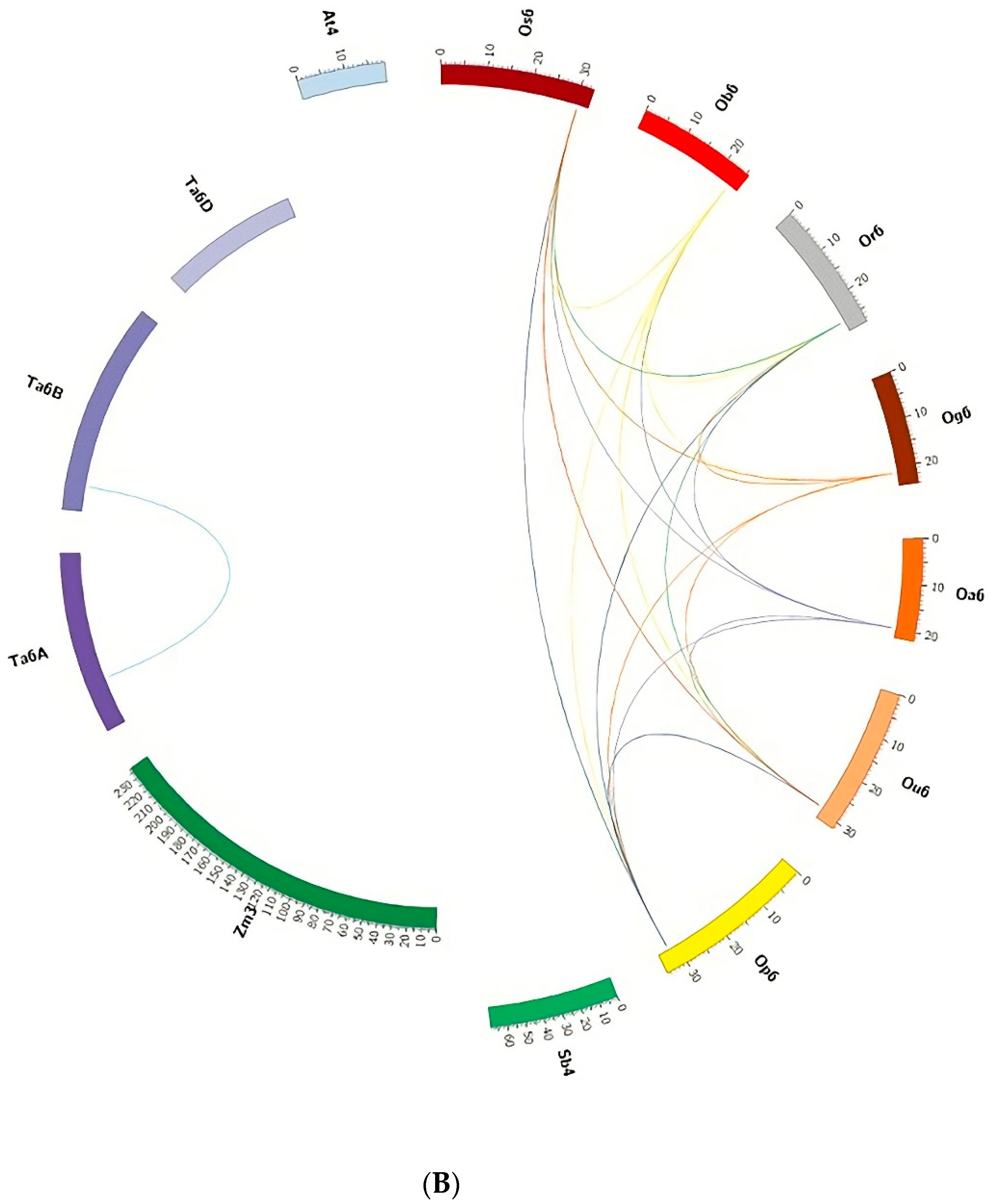 Cells 11 03461 g005b