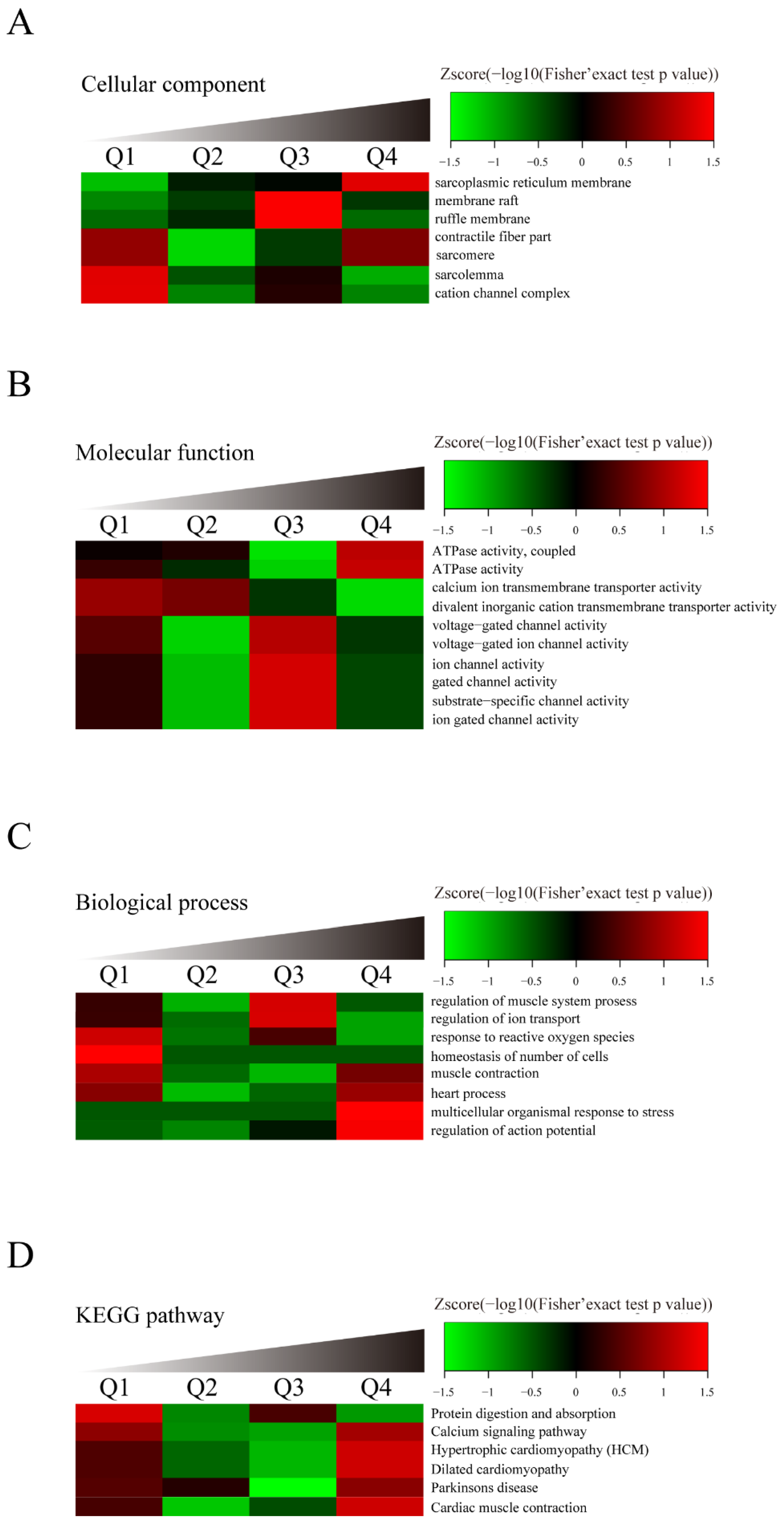 Cells 11 03465 g003a