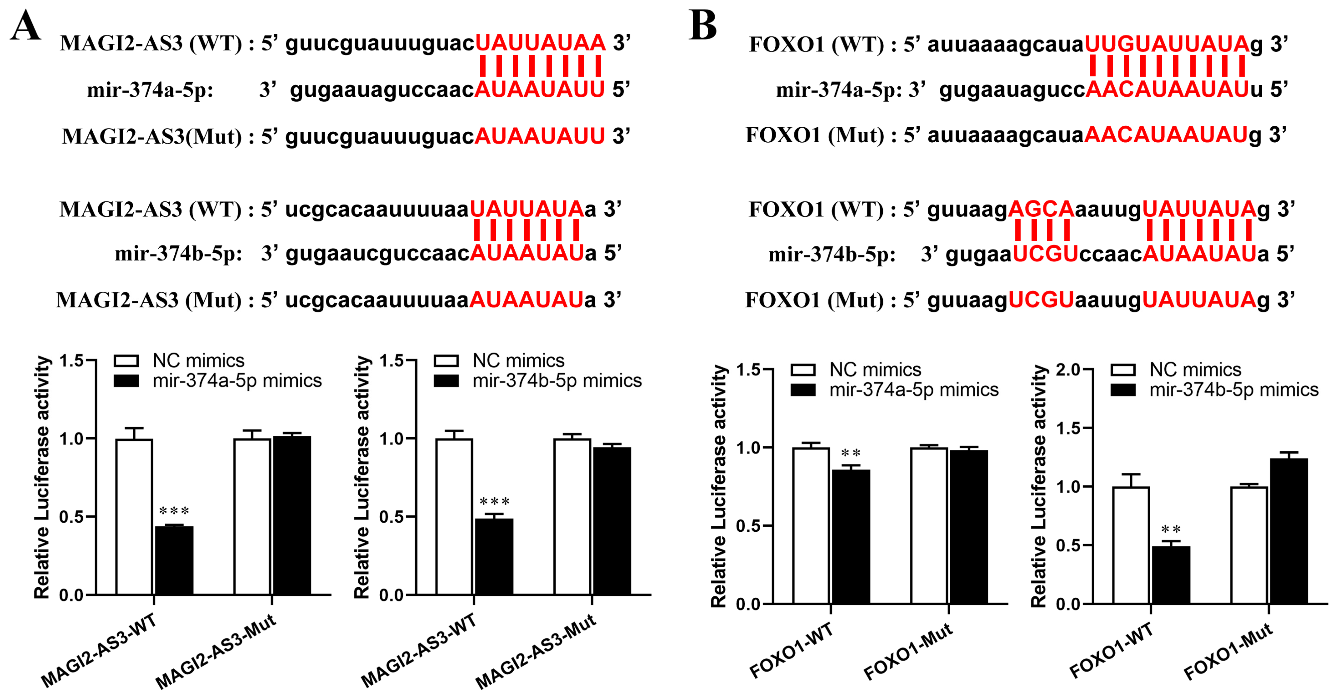 Cells 11 03466 g007a