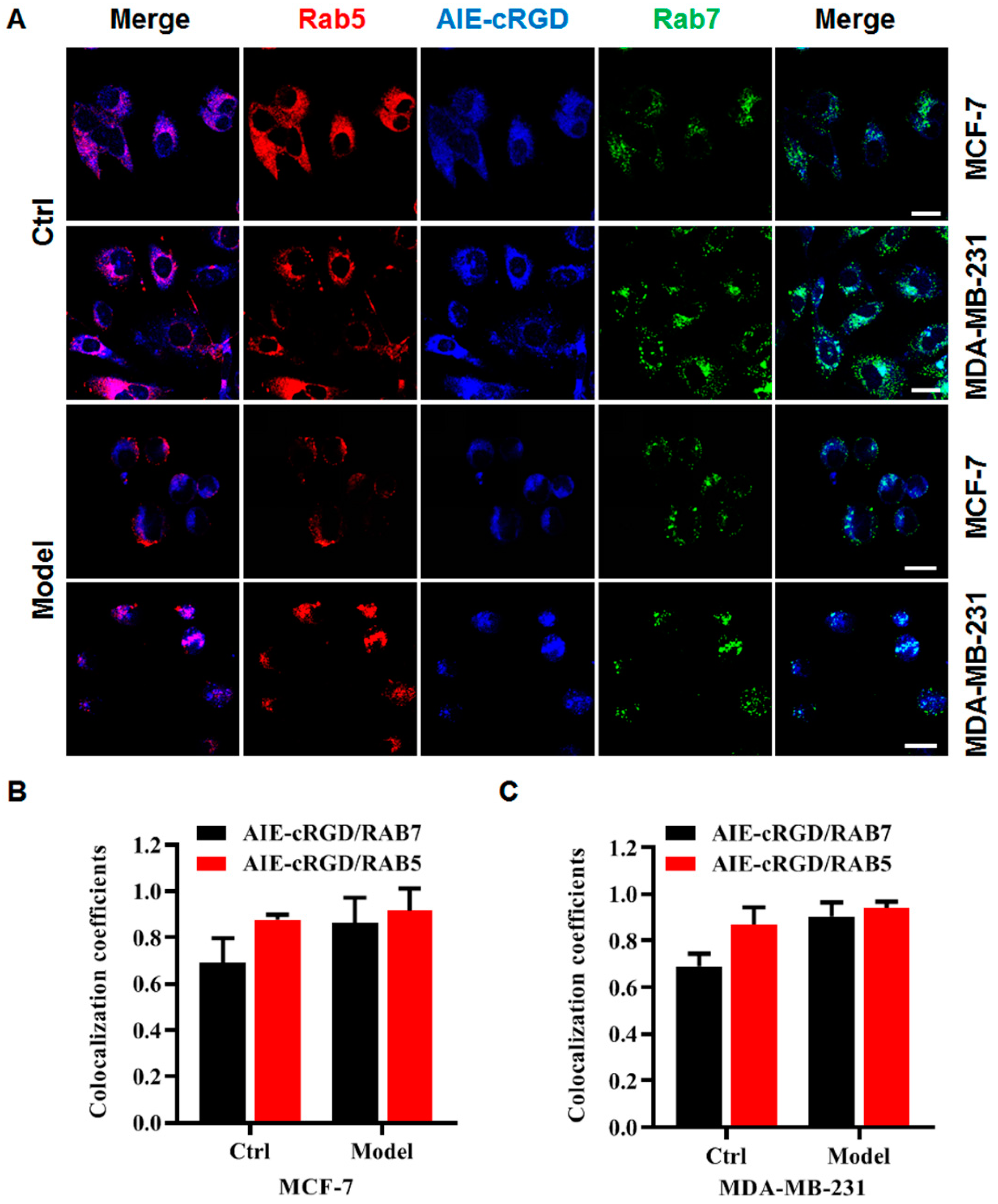 Cells 11 03478 g005 Cells 11 03478 g005