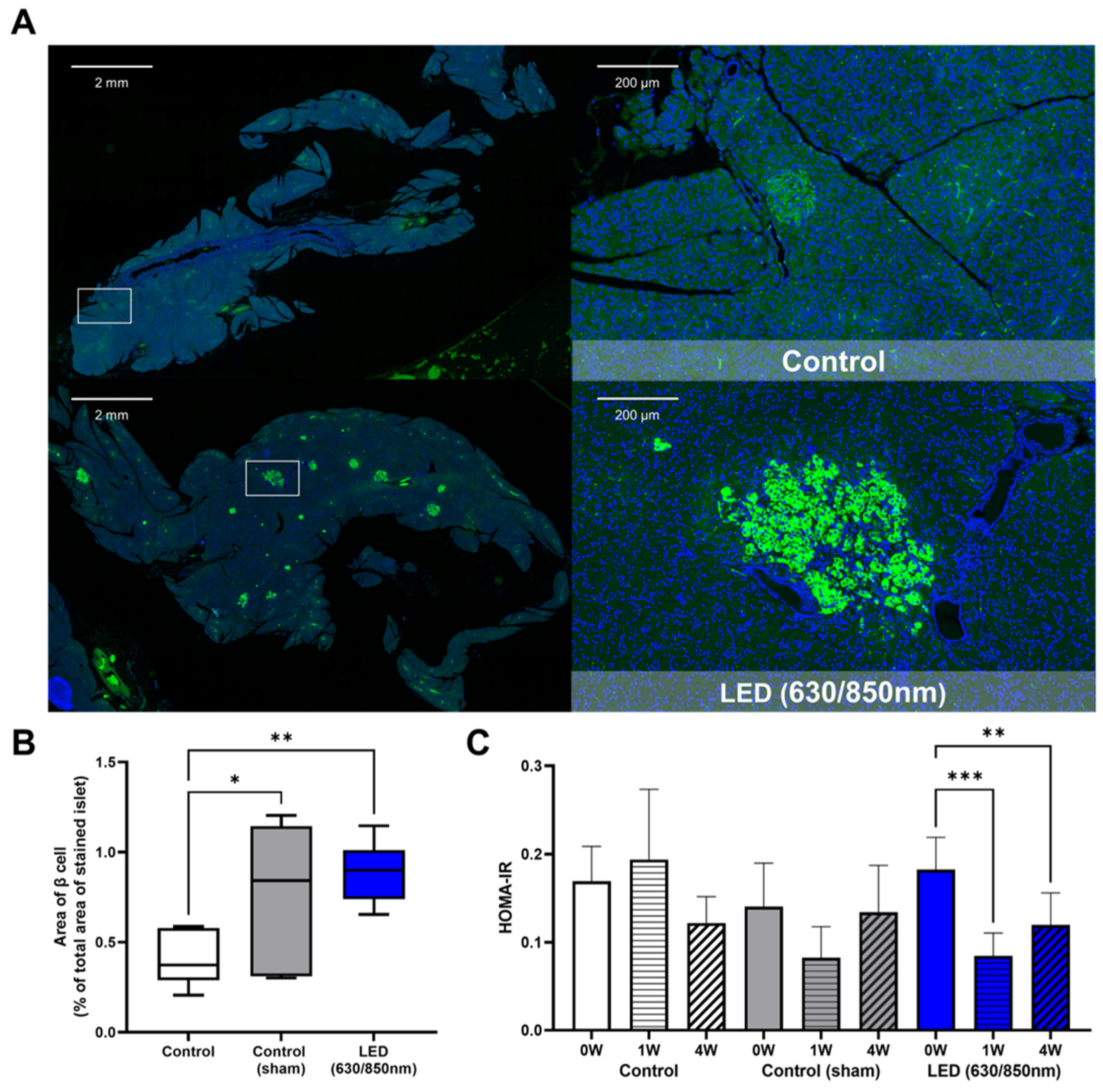 Cells 11 03490 g003 Cells 11 03490 g003