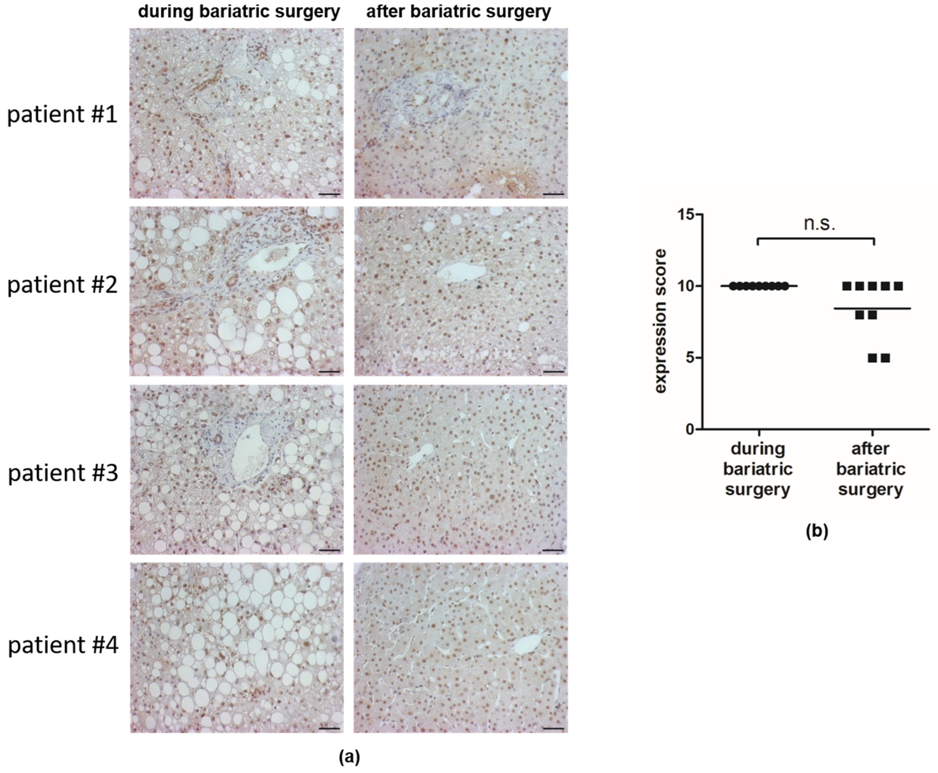 Cells 11 03504 g001