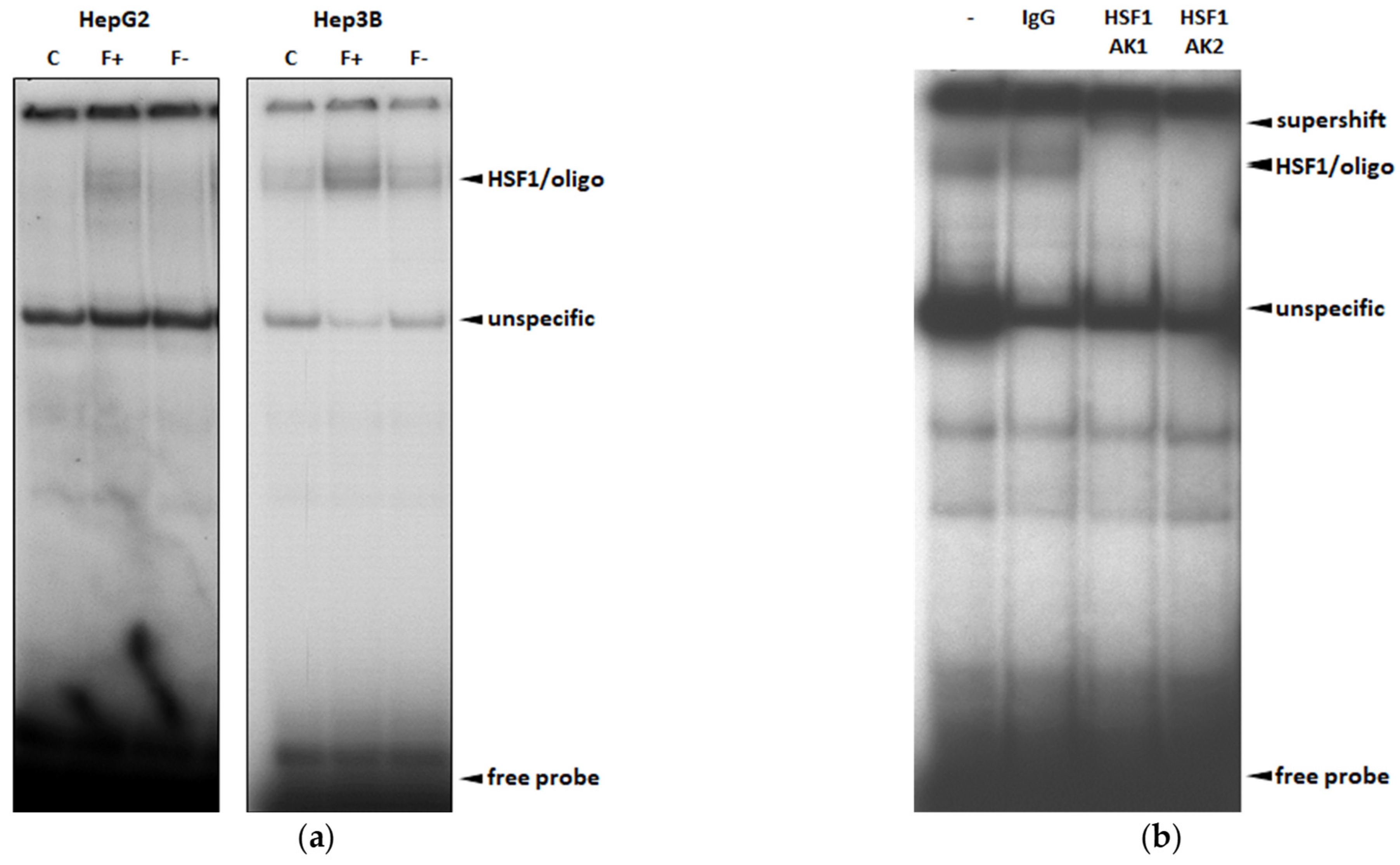Cells 11 03504 g003