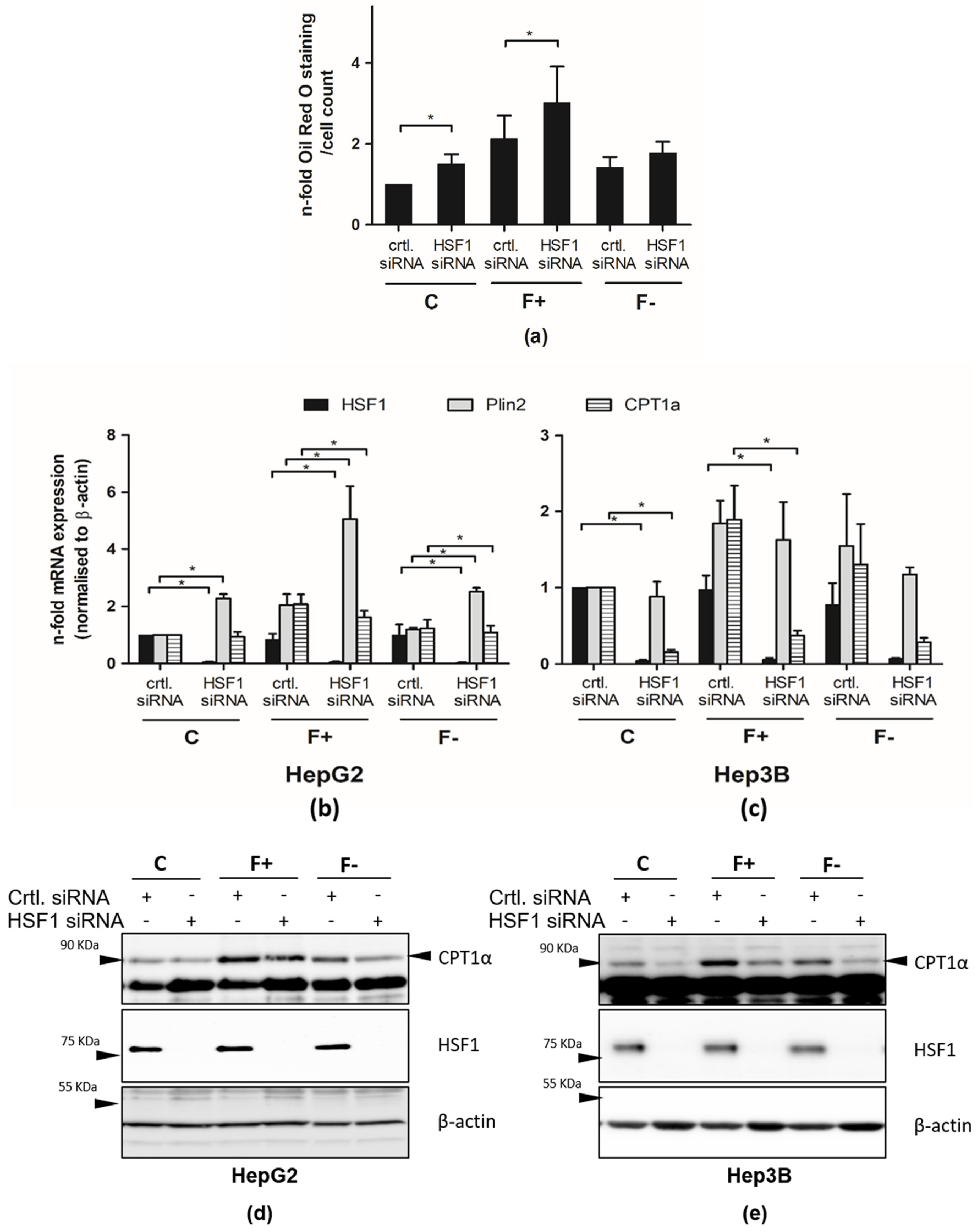 Cells 11 03504 g006