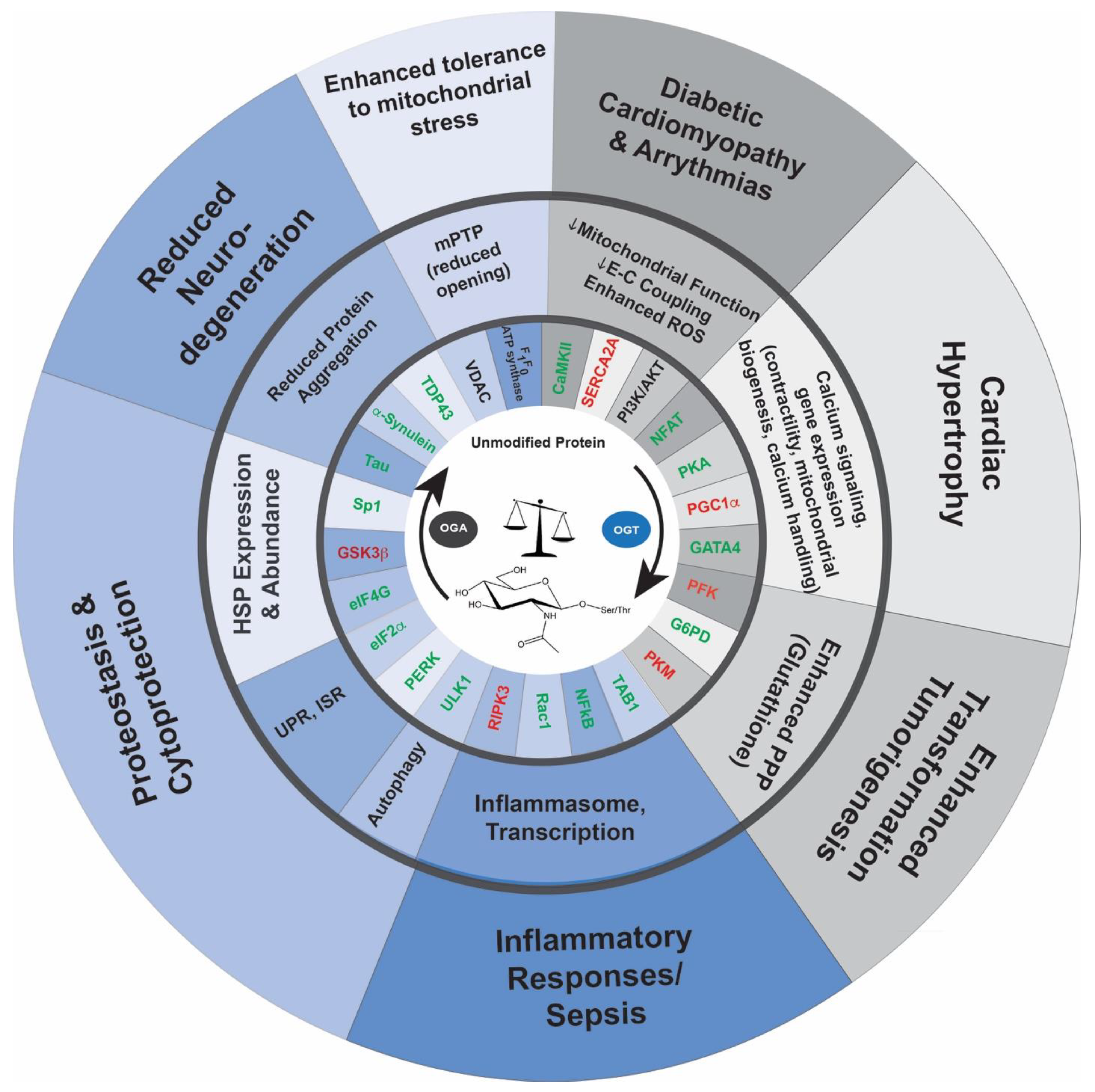 Cells 11 03509 g002 Cells 11 03509 g002