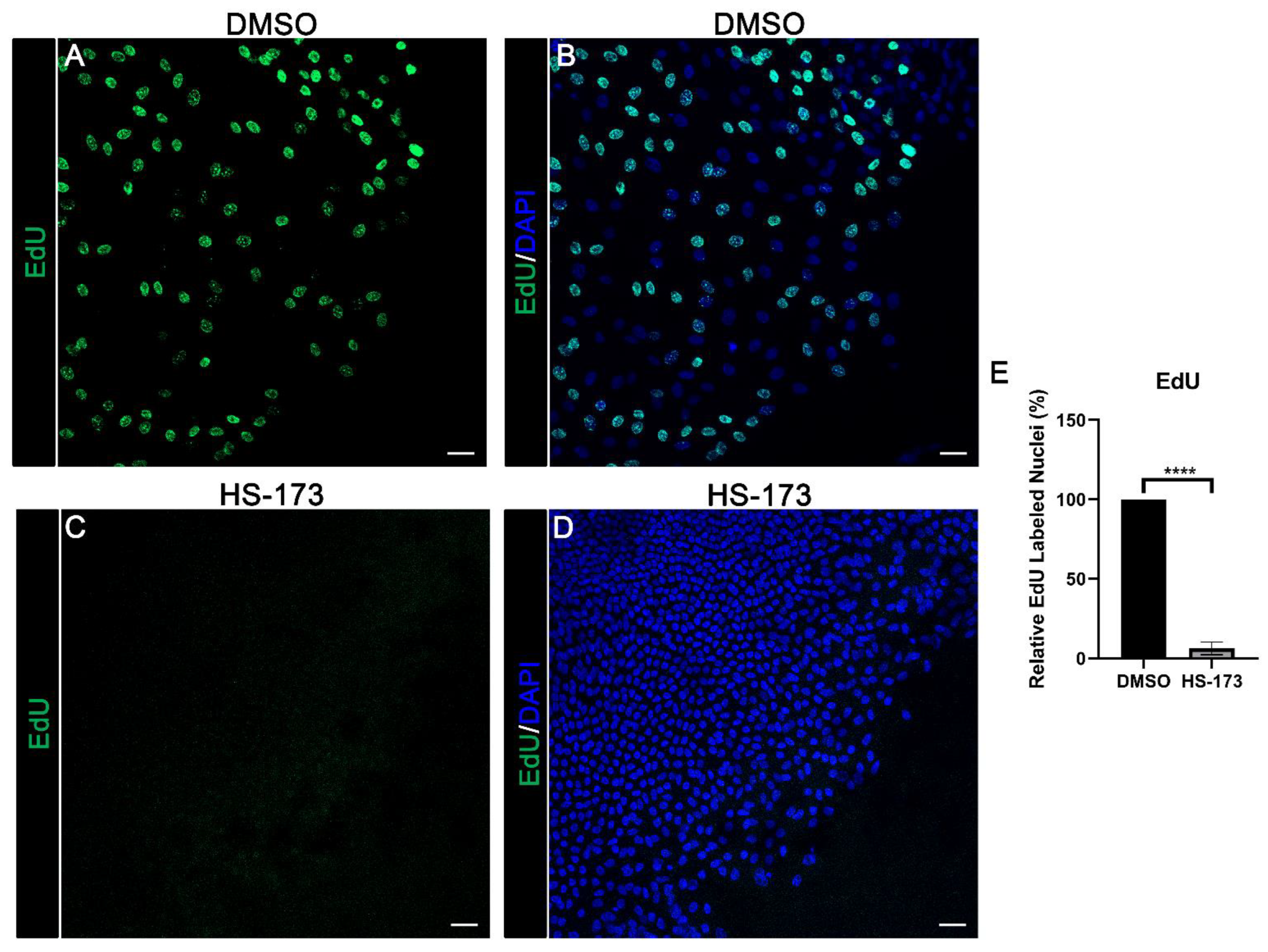 Cells 11 03515 g007 Cells 11 03515 g007