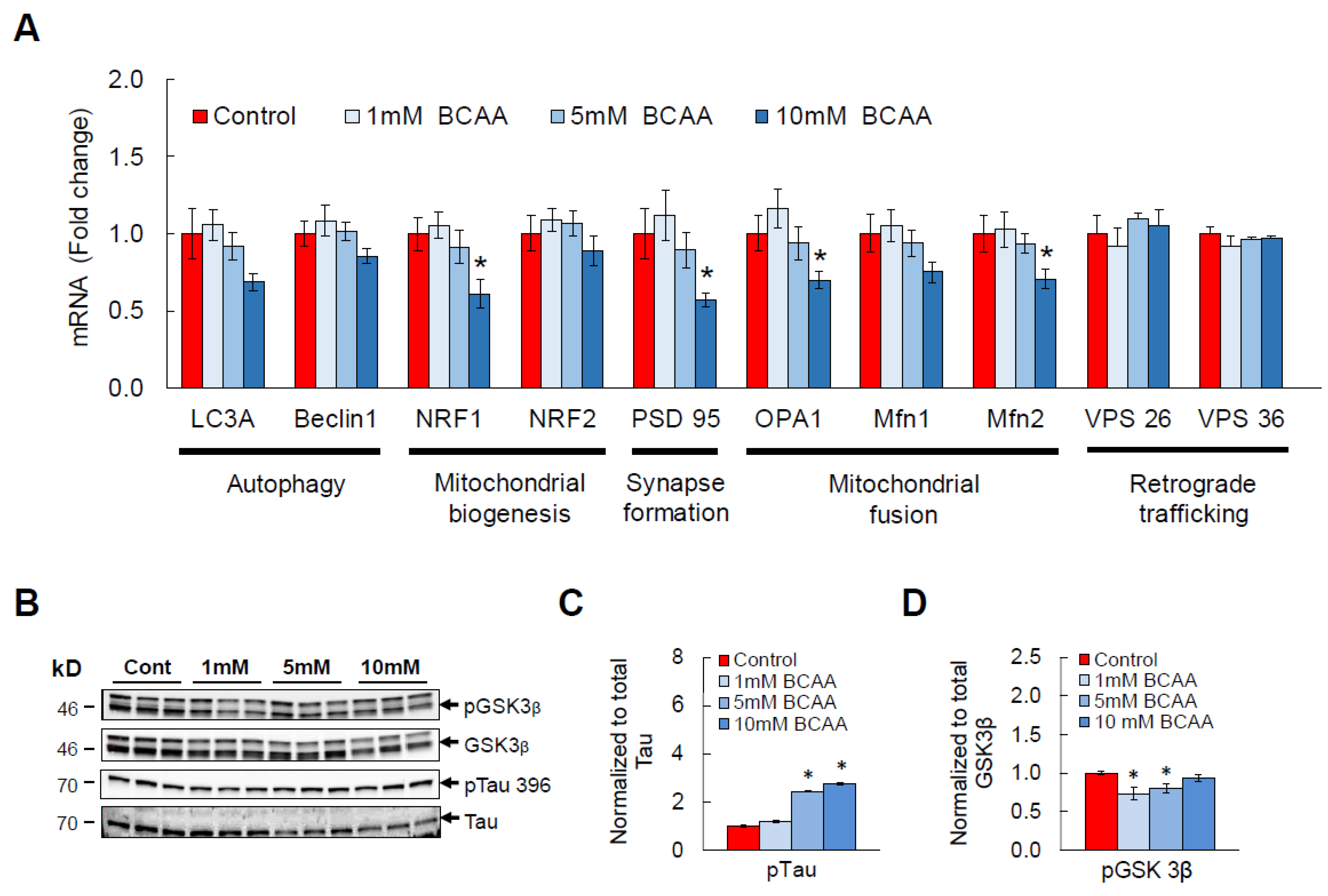 Cells 11 03523 g003a