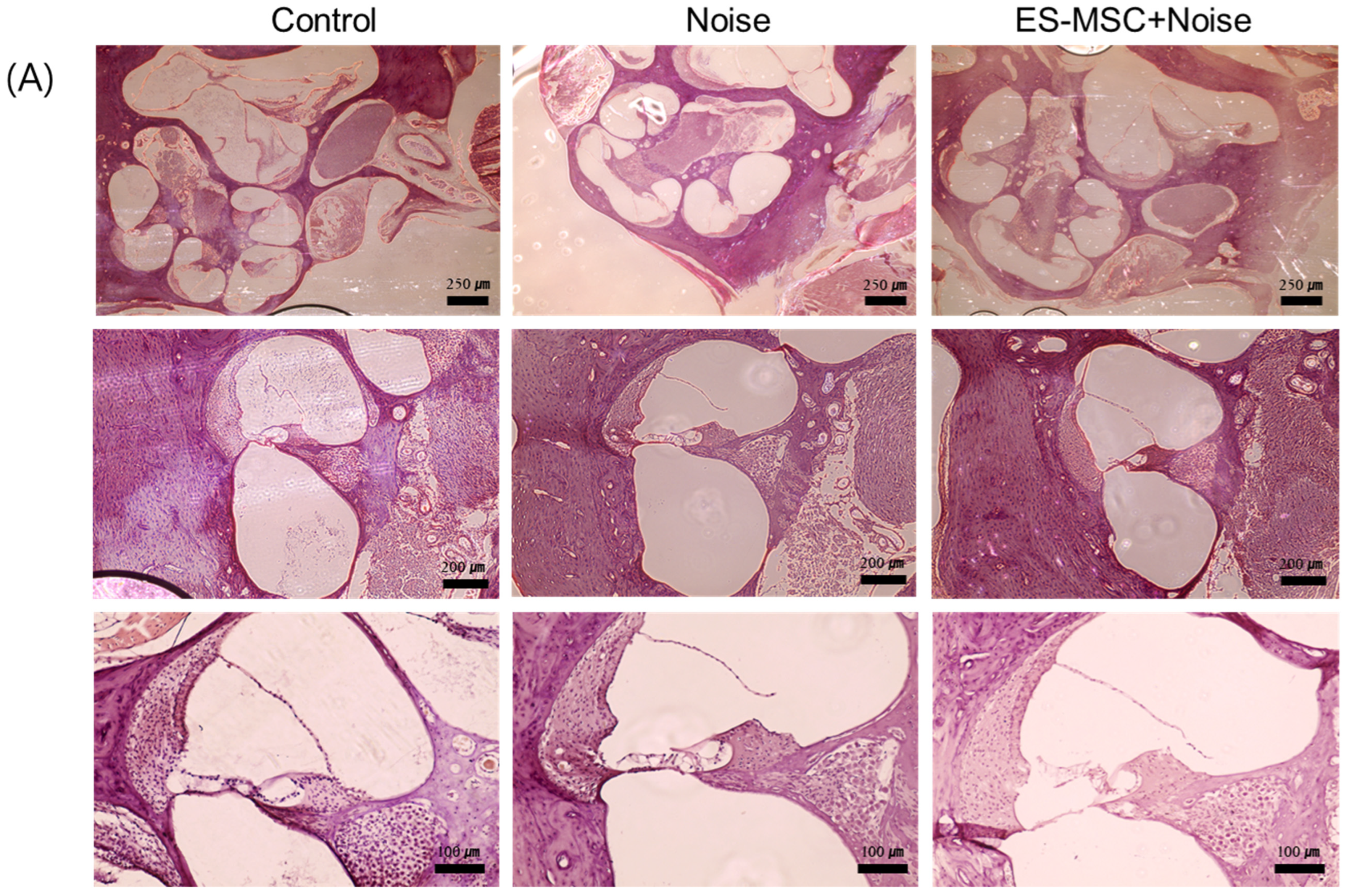 Cells 11 03524 g003a