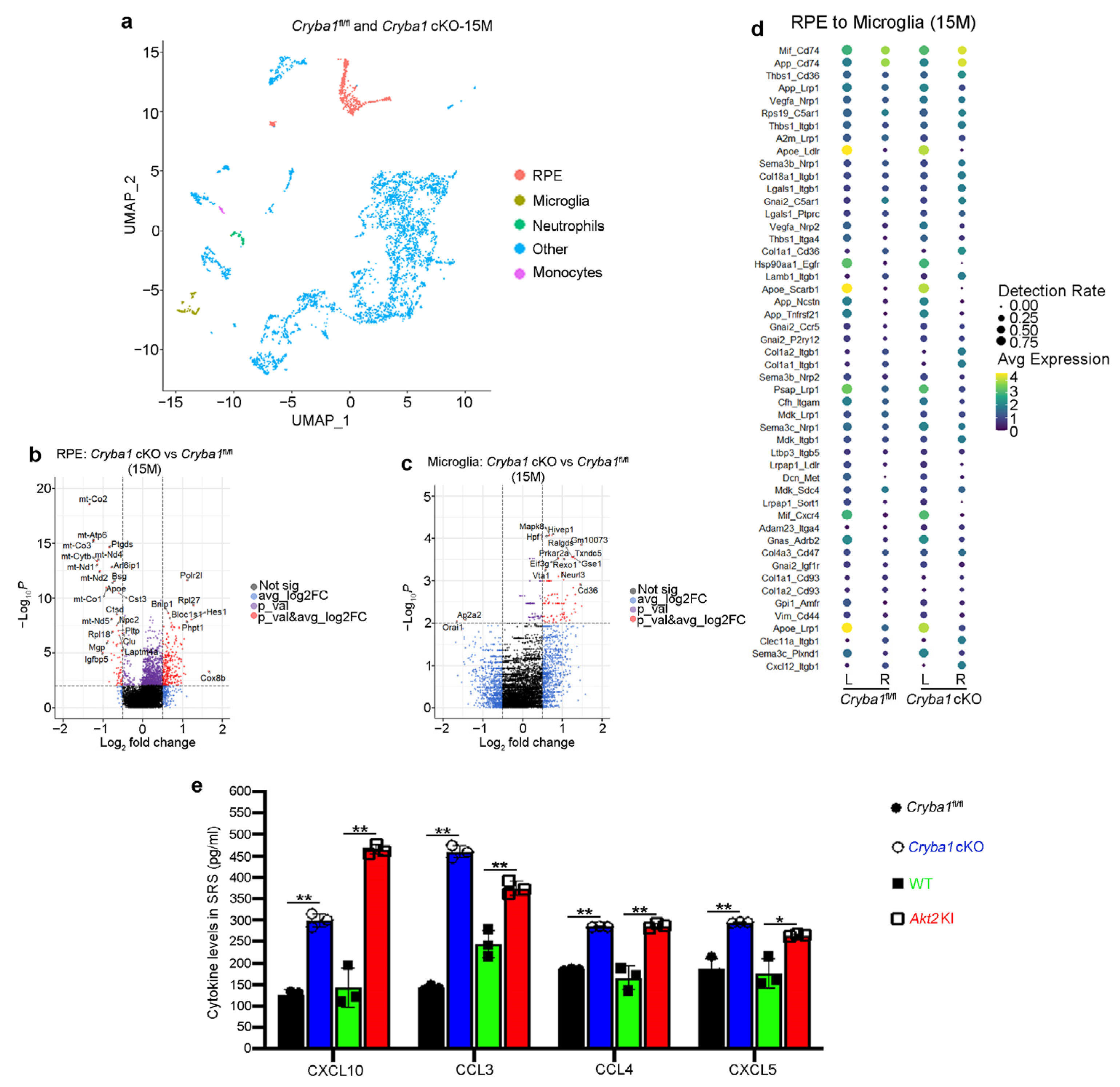 Cells 11 03535 g003 Cells 11 03535 g003