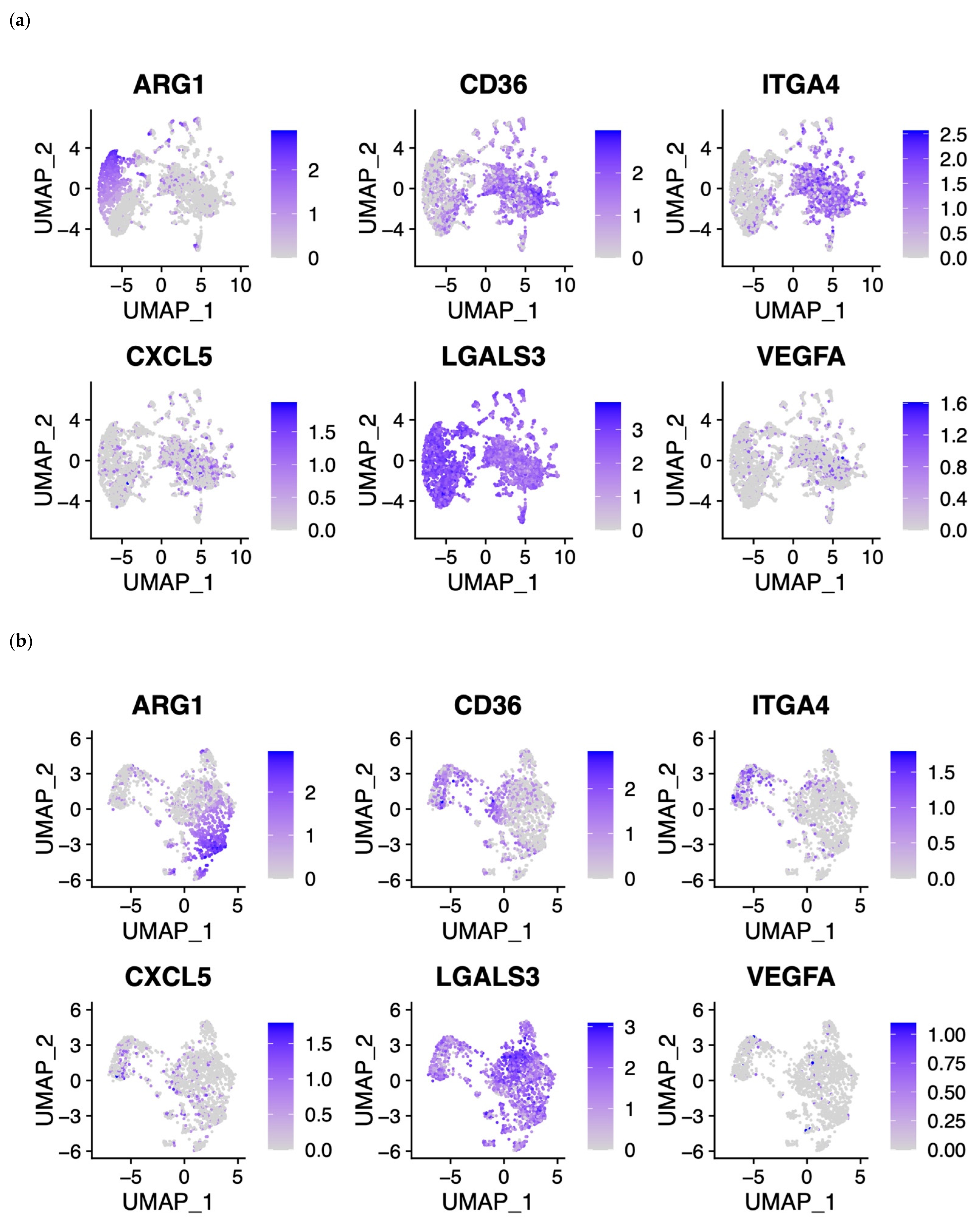 Cells 11 03537 g006a
