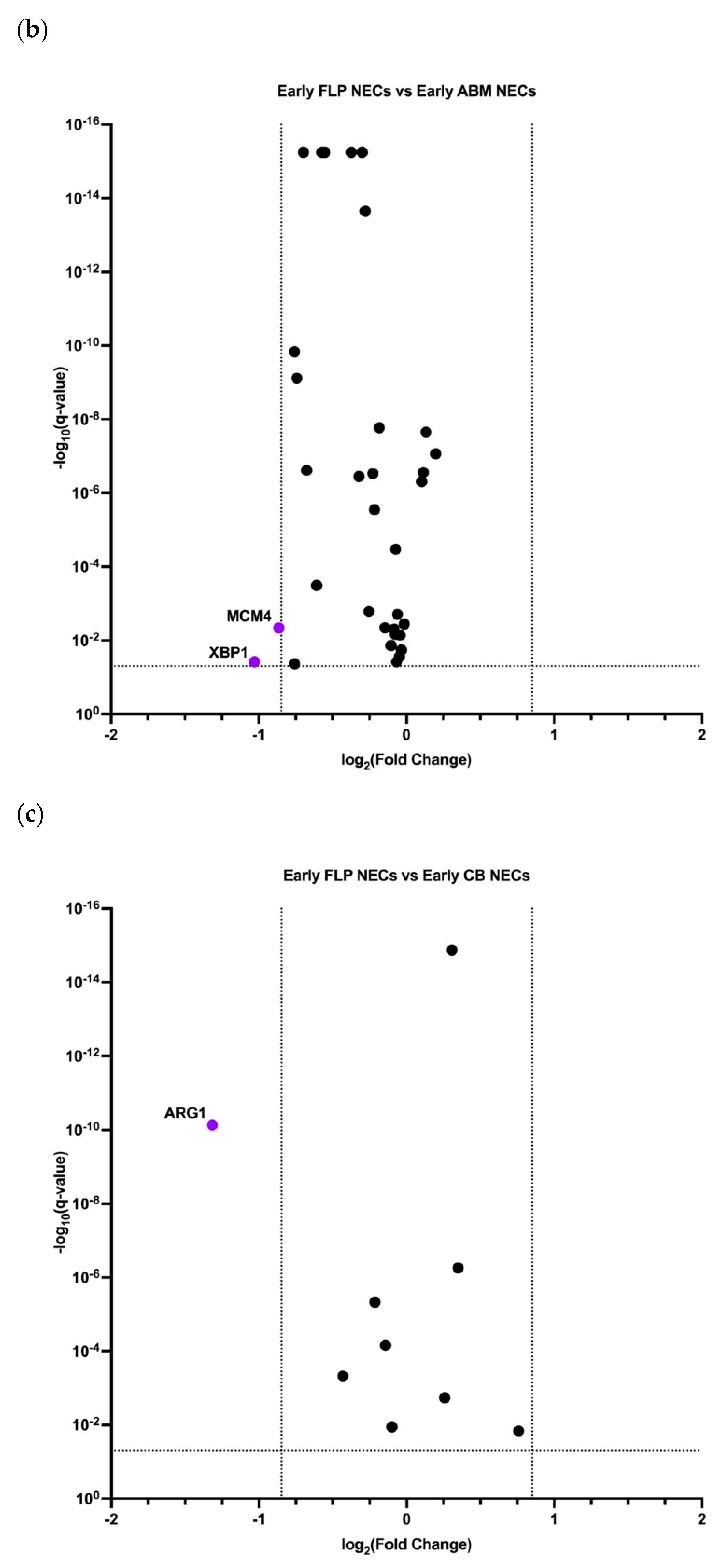 Cells 11 03537 g007b
