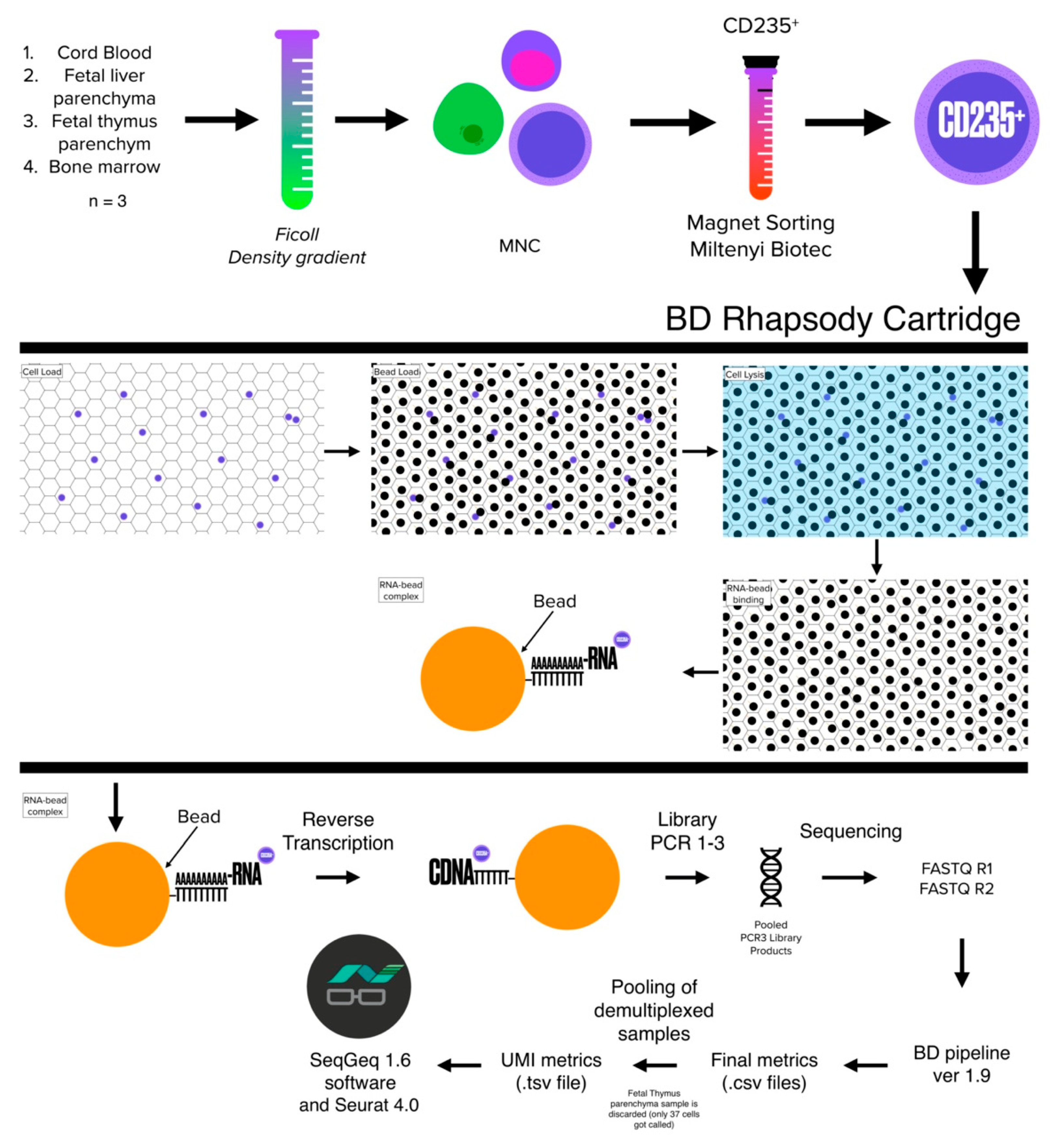 Cells 11 03537 sch001
