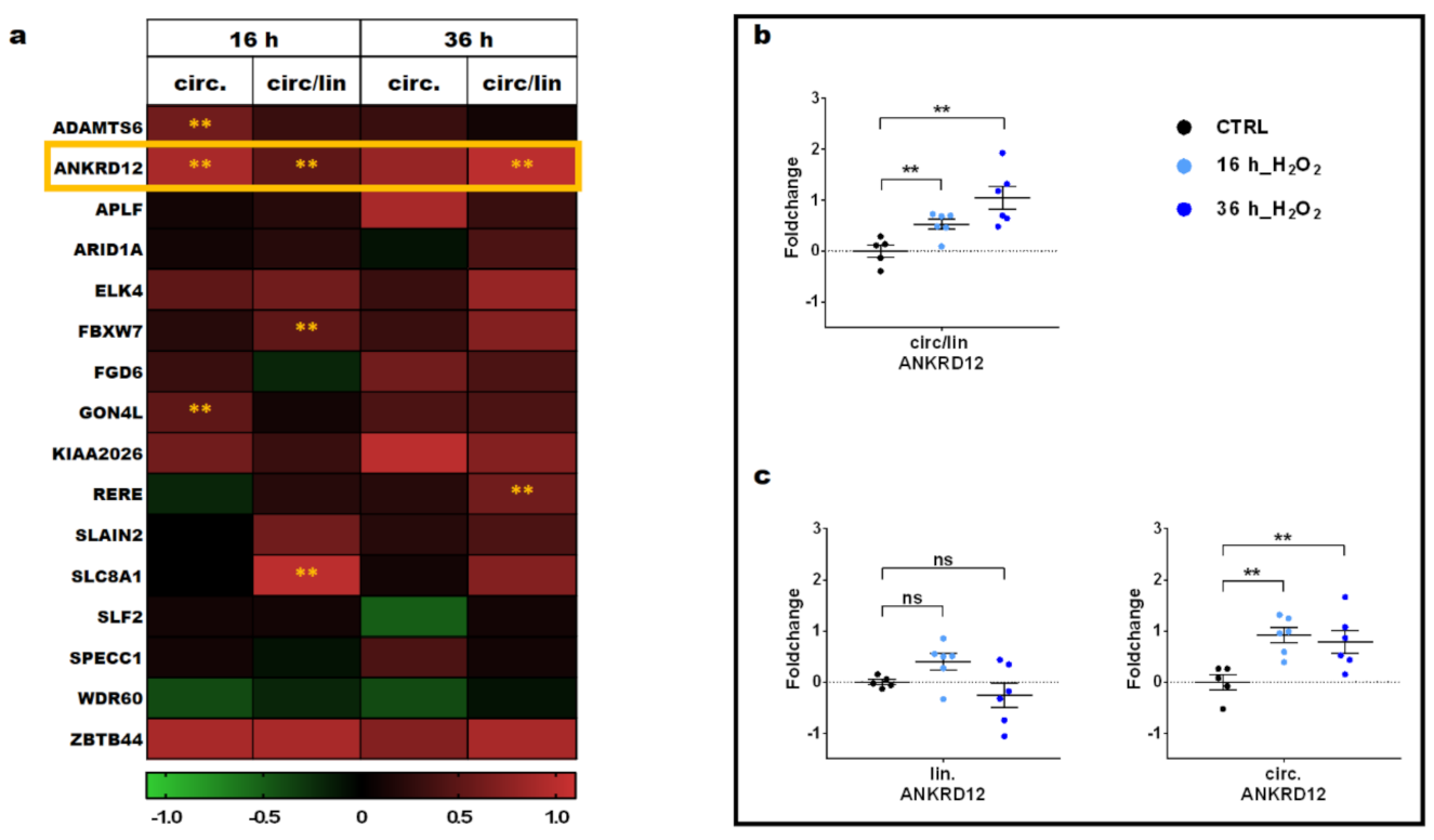 Cells 11 03546 g002 Cells 11 03546 g002