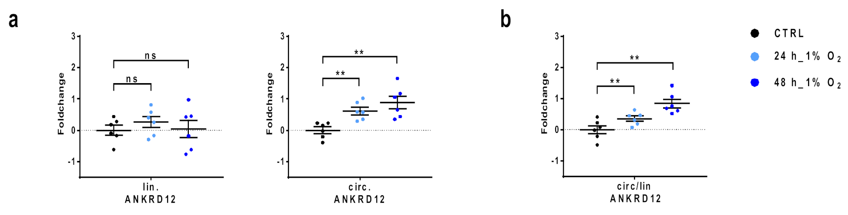 Cells 11 03546 g004 Cells 11 03546 g004