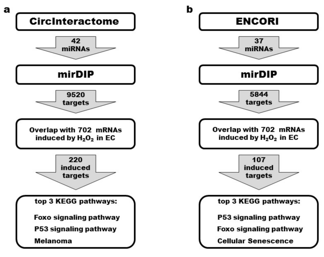 Cells 11 03546 g007 Cells 11 03546 g007