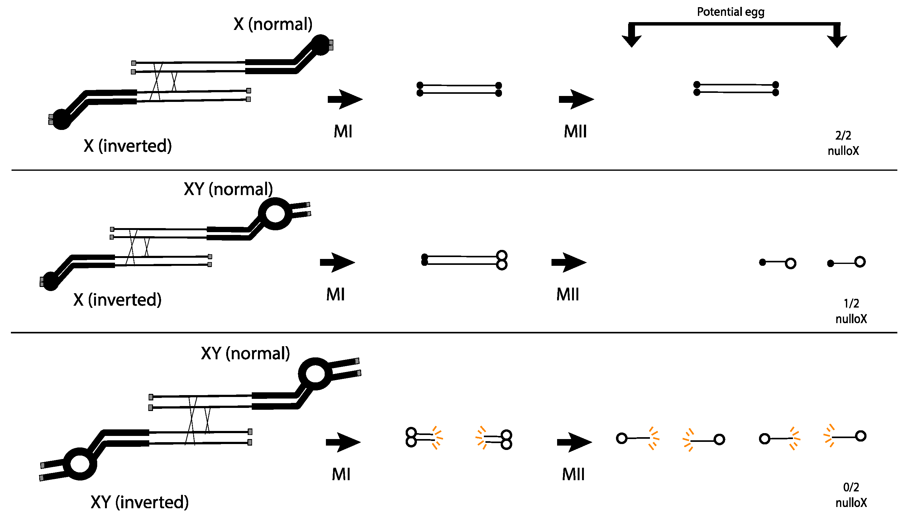 Cells 11 03550 g002 Cells 11 03550 g002