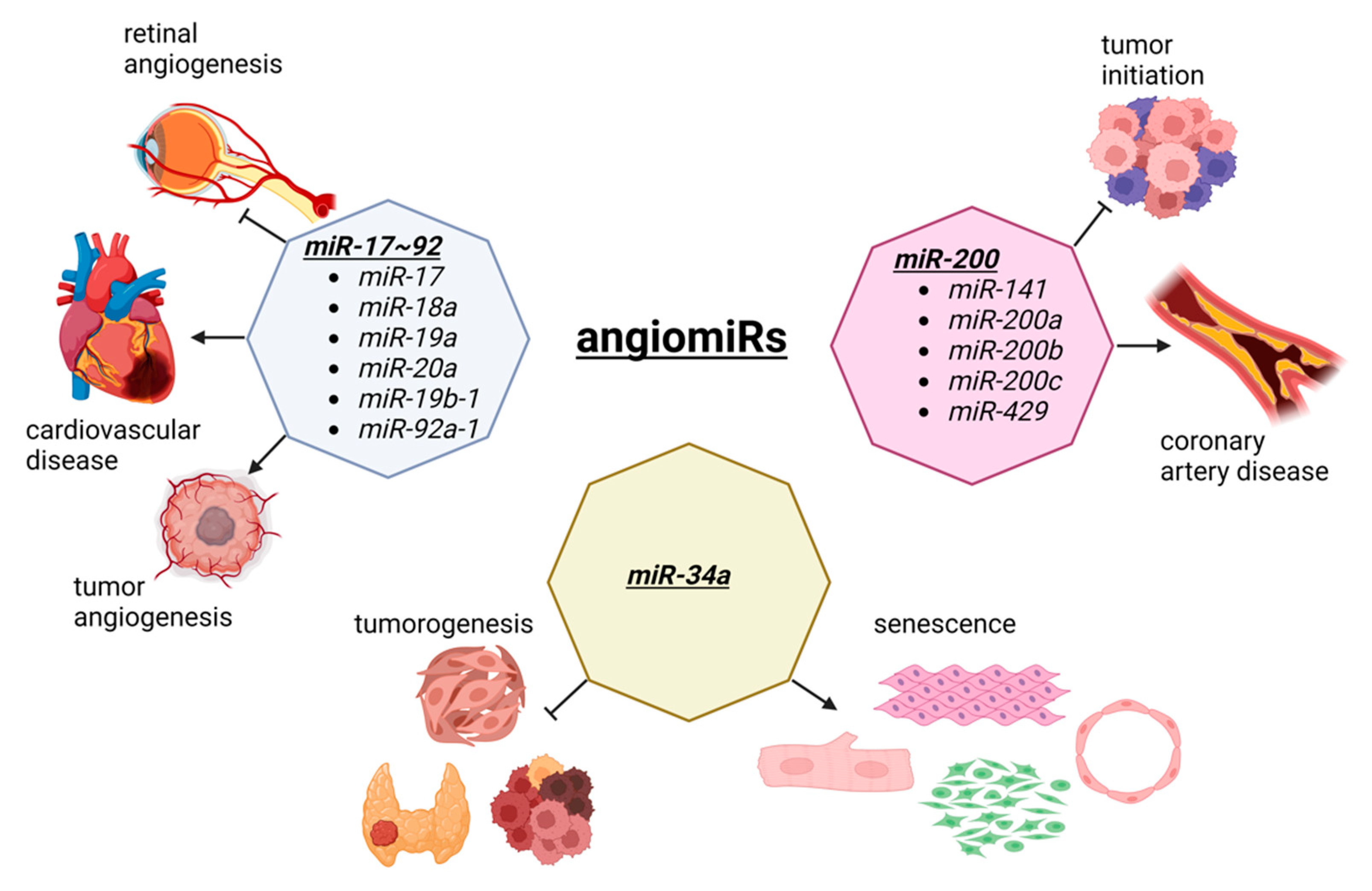 Cells 11 03551 g002 Cells 11 03551 g002
