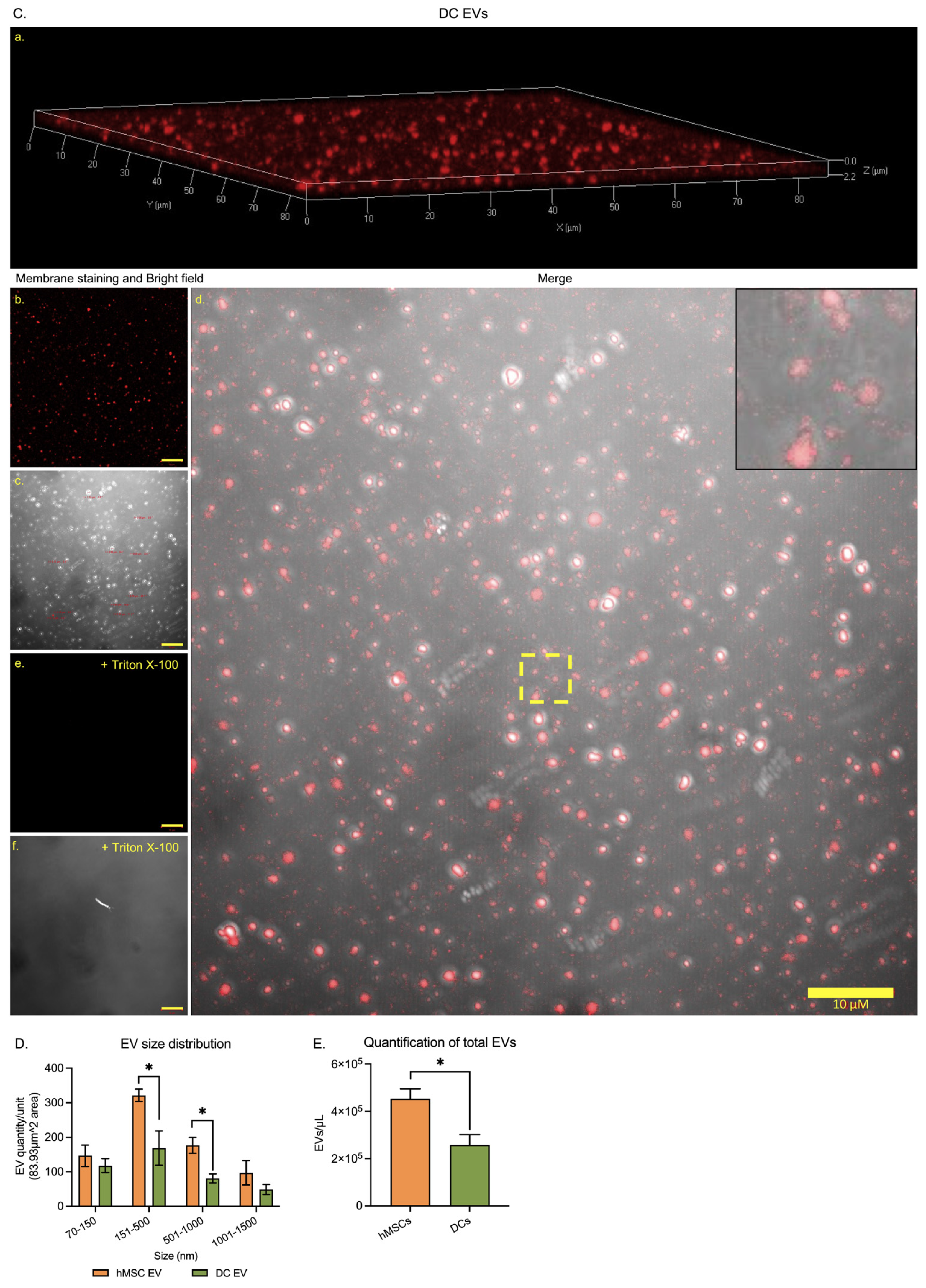 Cells 11 03589 g003b Cells 11 03589 g003b