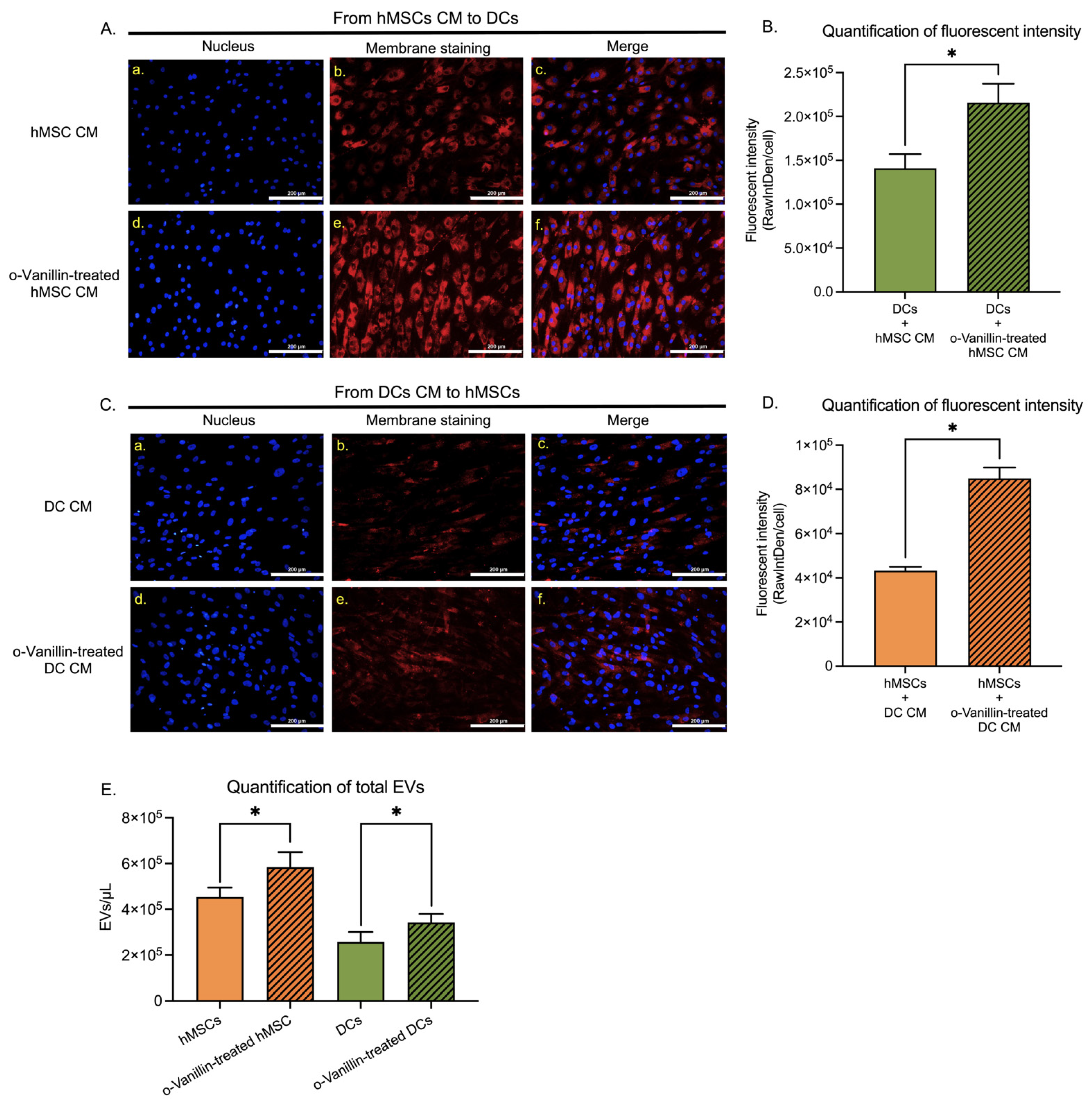 Cells 11 03589 g004 Cells 11 03589 g004