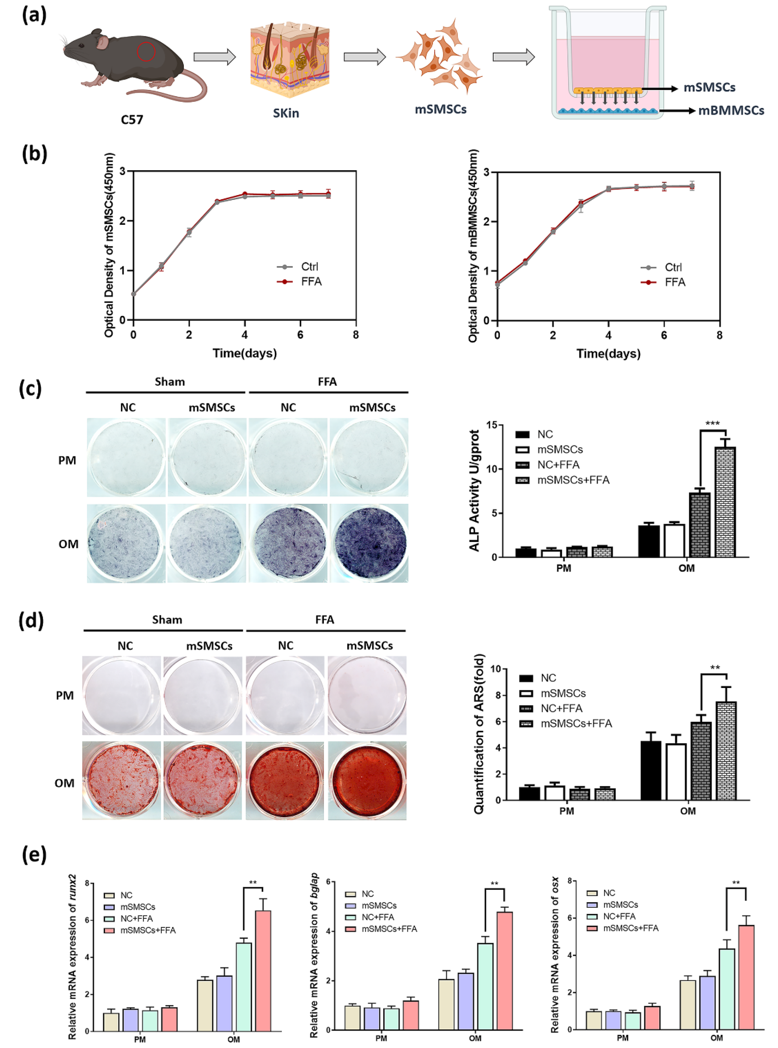 Cells 11 03620 g003 Cells 11 03620 g003