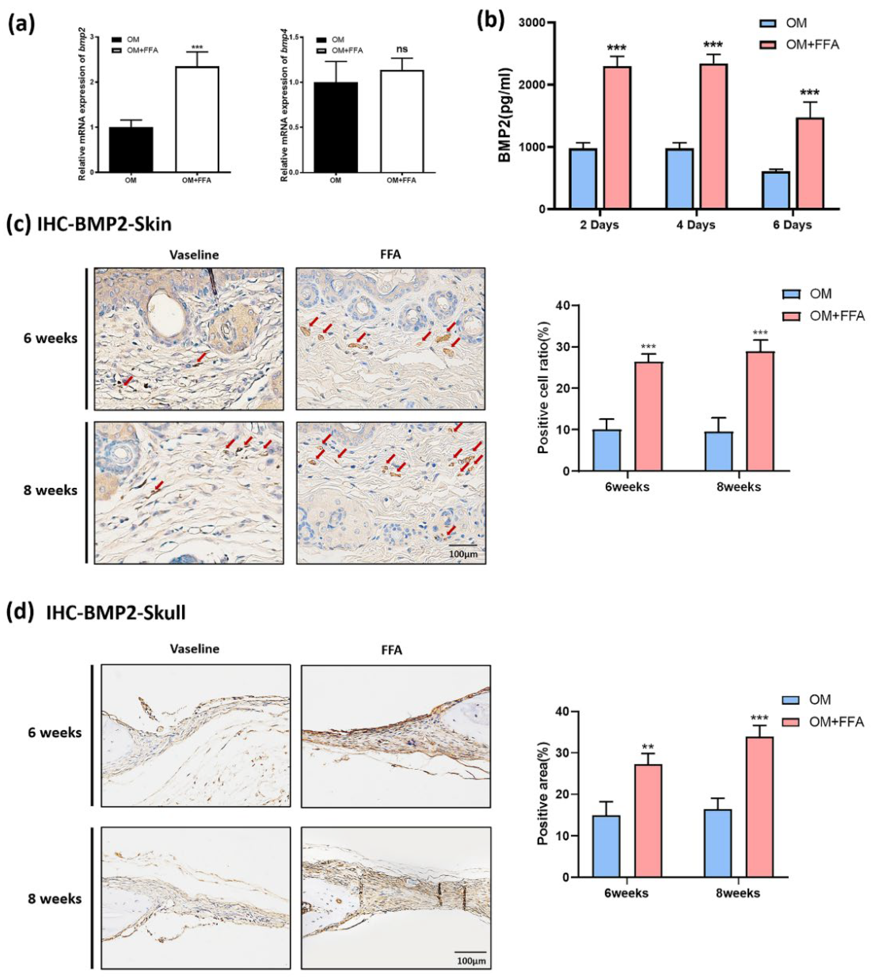 Cells 11 03620 g004 Cells 11 03620 g004