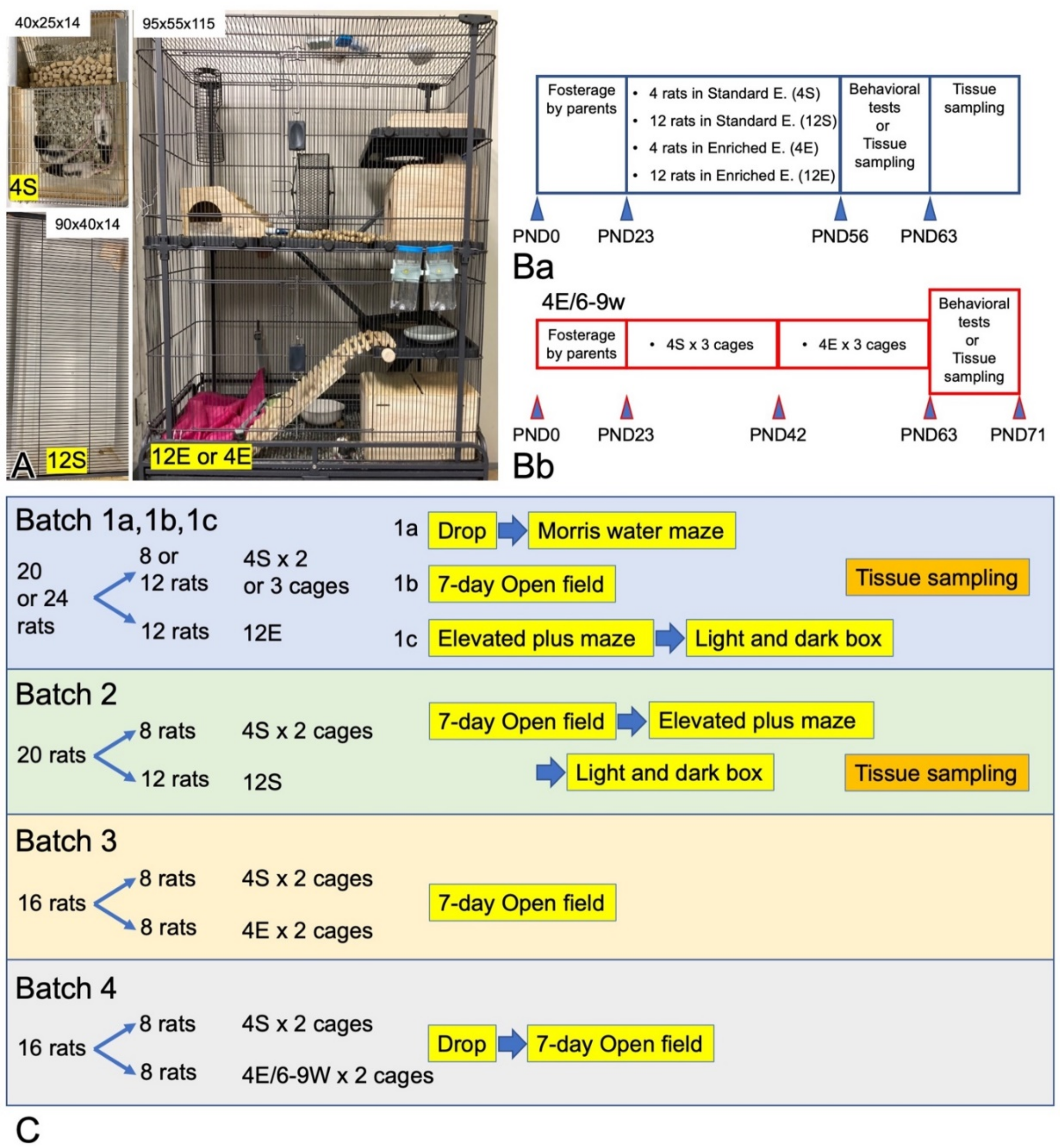 Cells 11 03649 g001 Cells 11 03649 g001