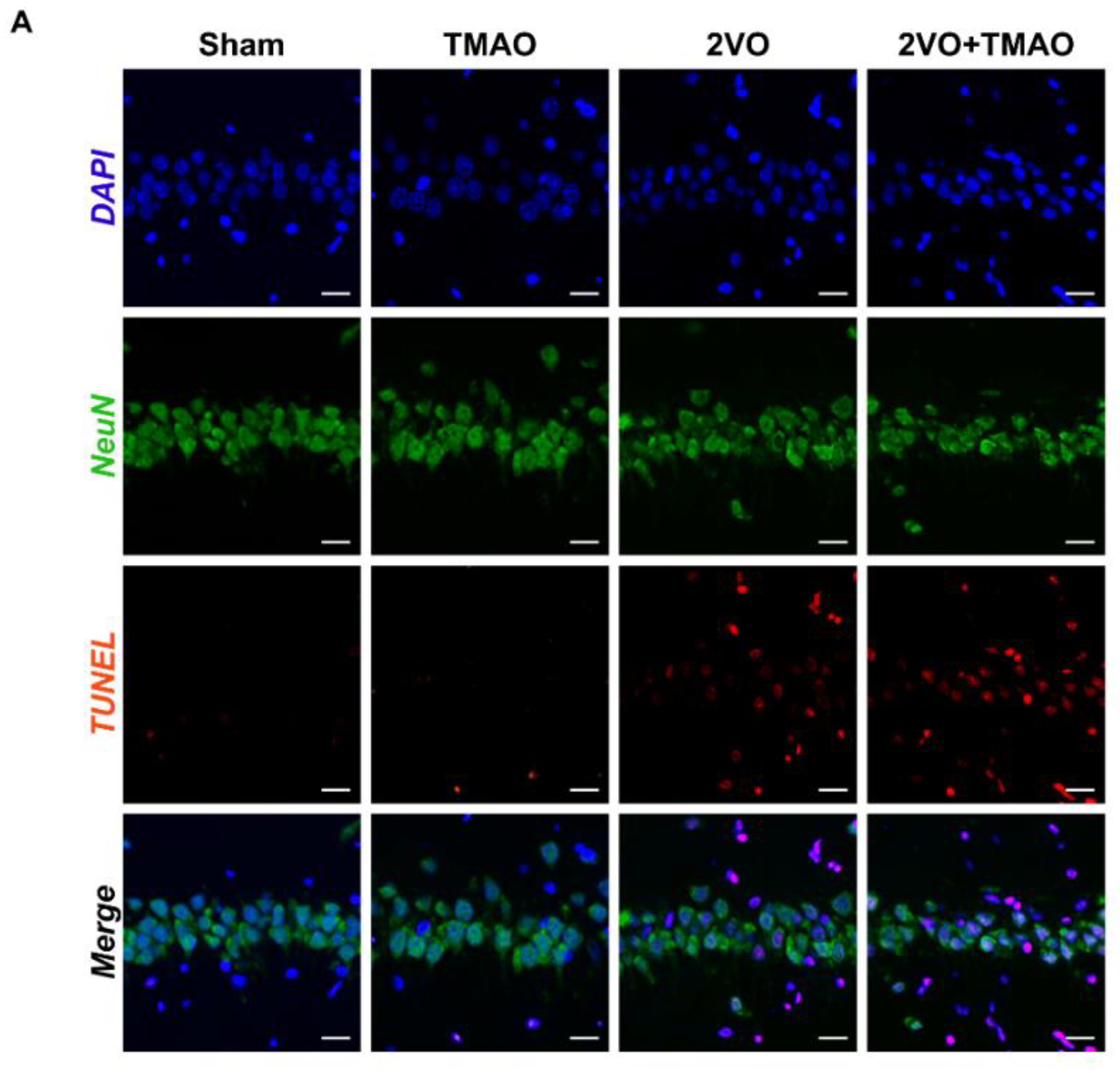 Cells 11 03650 g004a