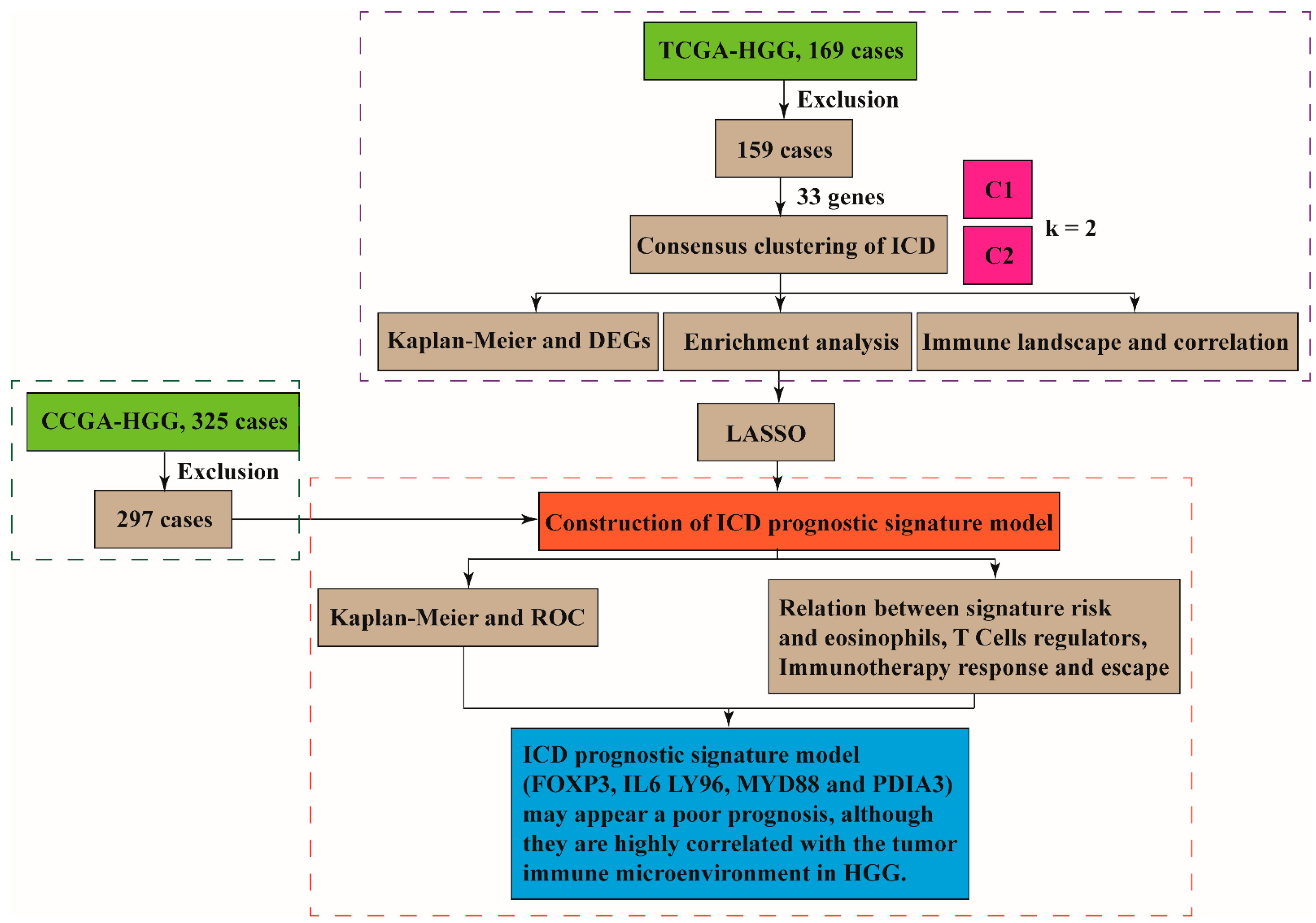 Cells 11 03655 g001 Cells 11 03655 g001
