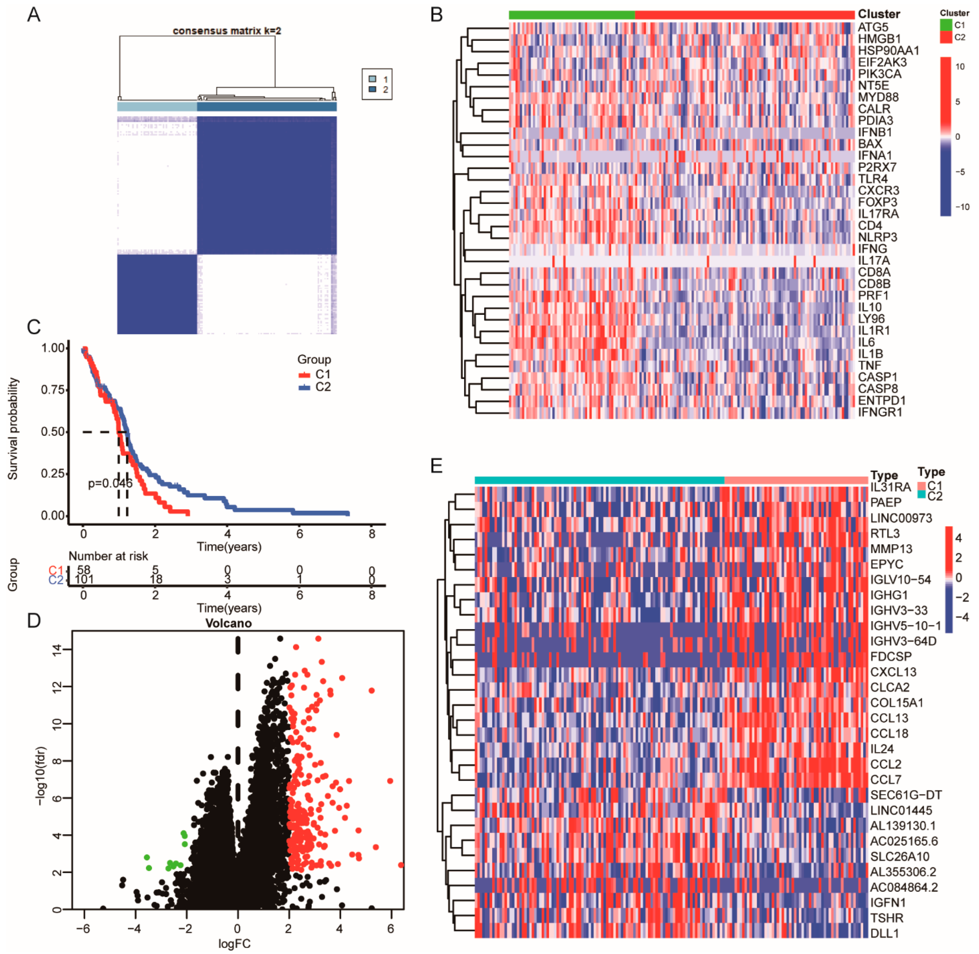 Cells 11 03655 g002 Cells 11 03655 g002