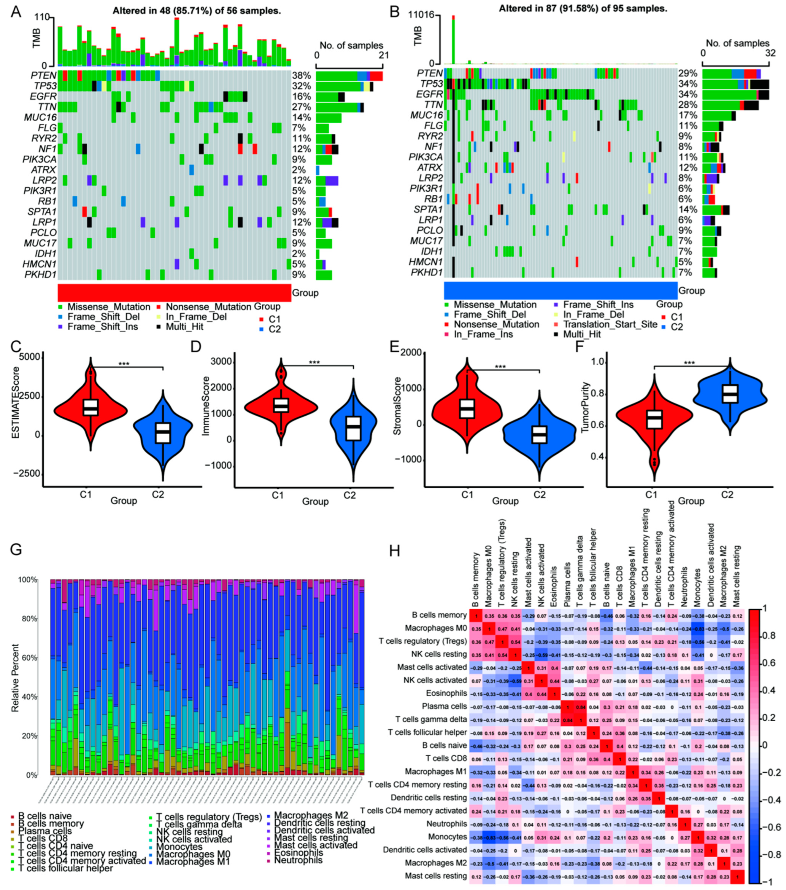Cells 11 03655 g004 Cells 11 03655 g004